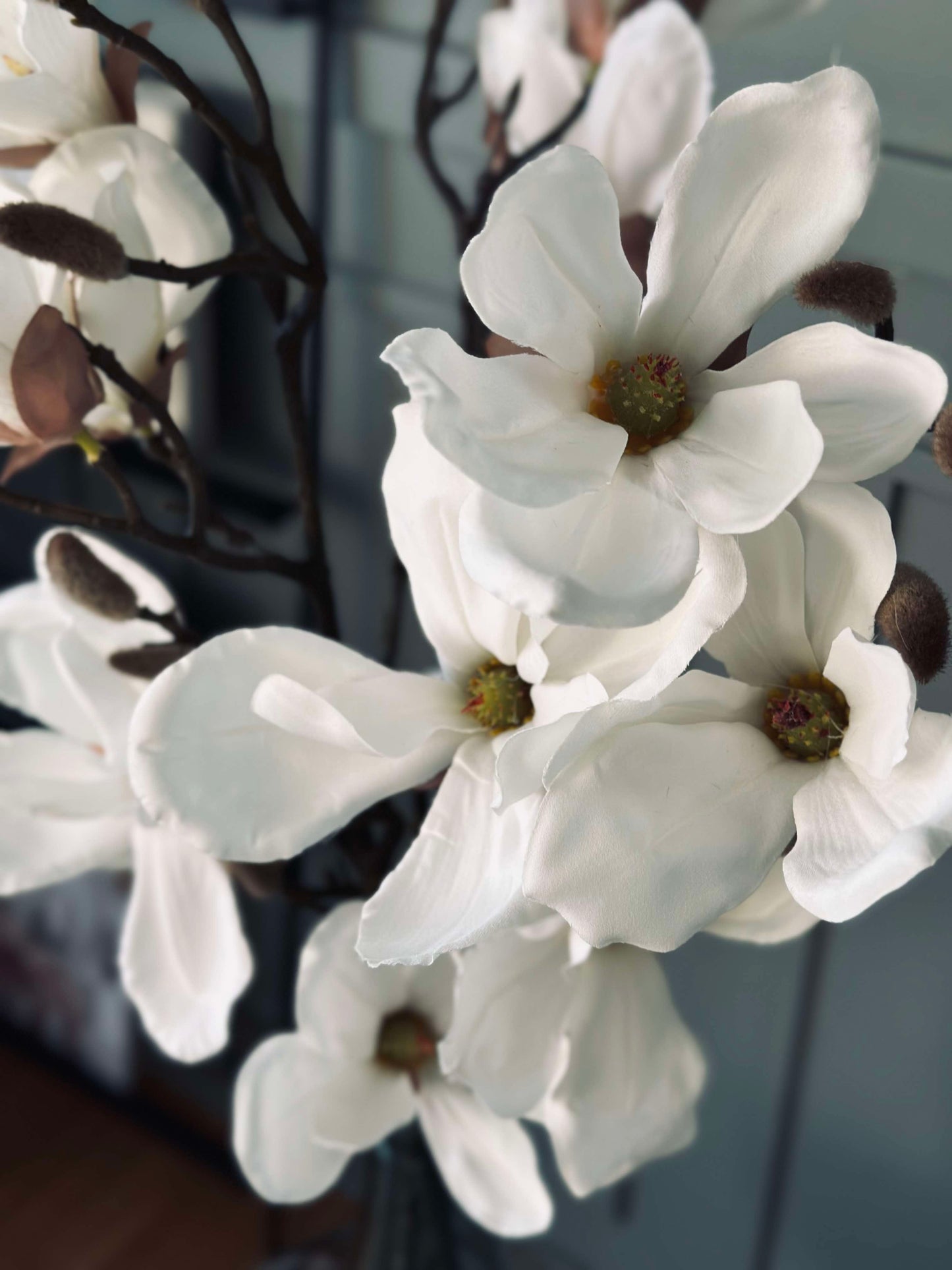 Magnoliagren - 92cm