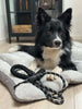 Hundesnor 1,5 meter med poseholder