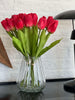 Tulipaner Bordeaux