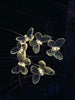 Solcelle buket m. Sommerfugle