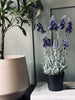 Lavendel 40cm - Mørk Lilla