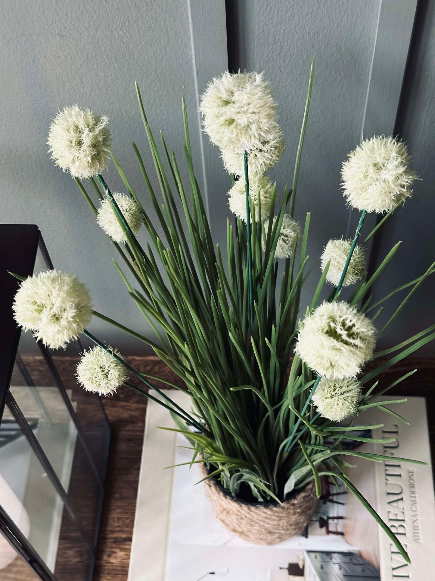 Blomst i potte