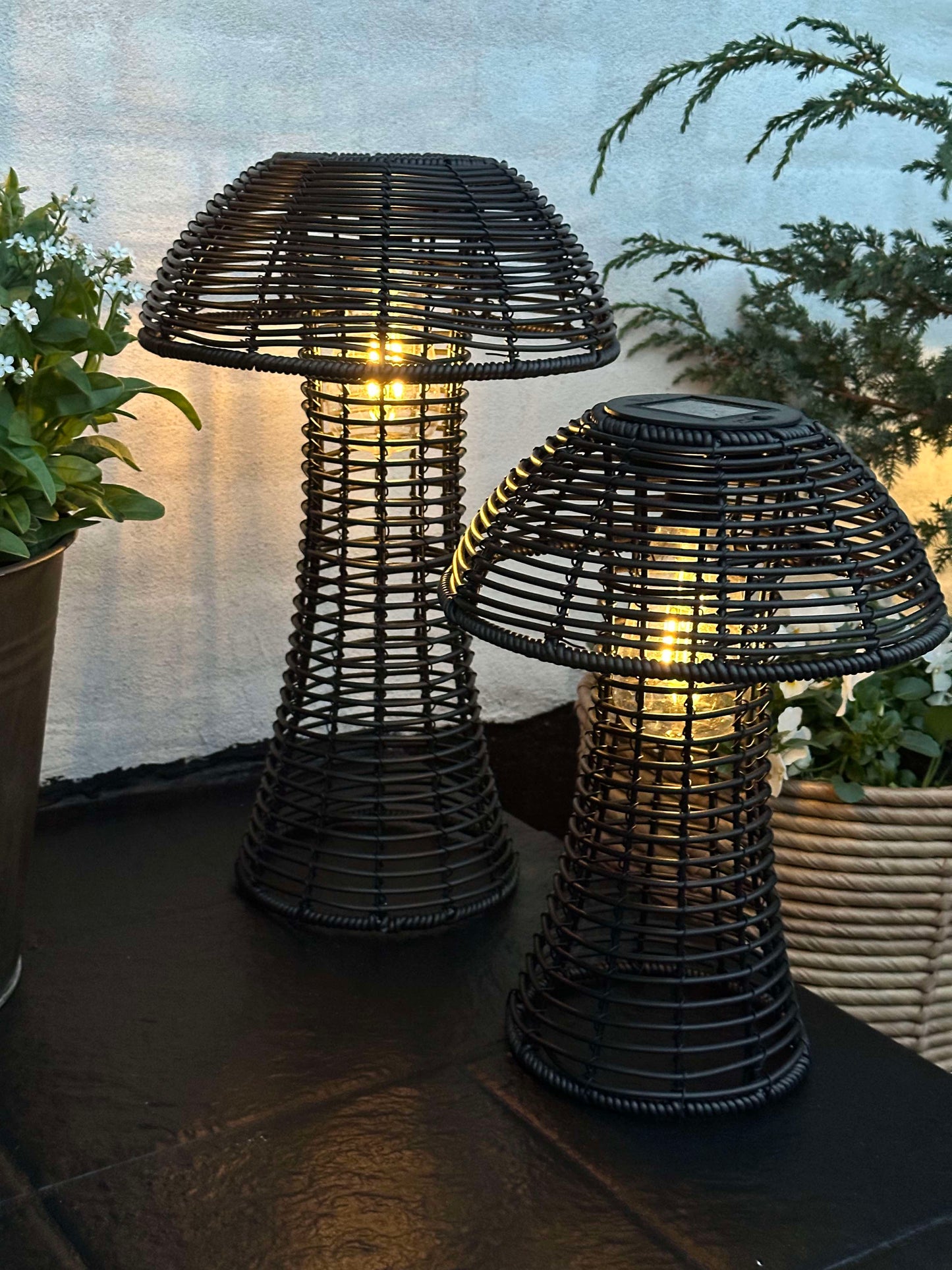 Mushroom Solar - Black Small