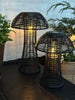 Mushroom Solar - Black Small