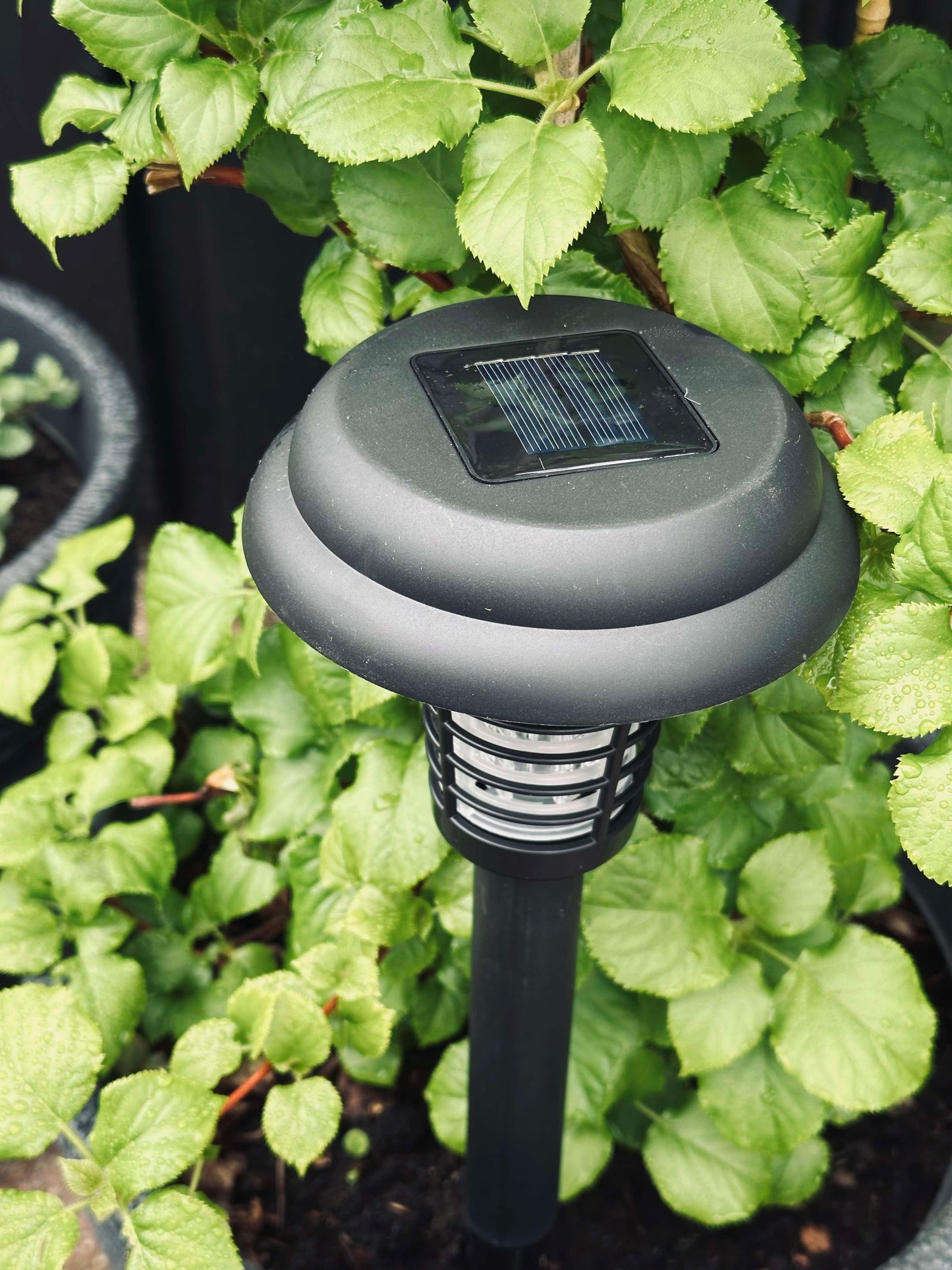 Fakkel MOSQUITO 2IN1 SOLAR