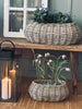 Plantekurve - Sæt m. 2 stk. Oval rattan