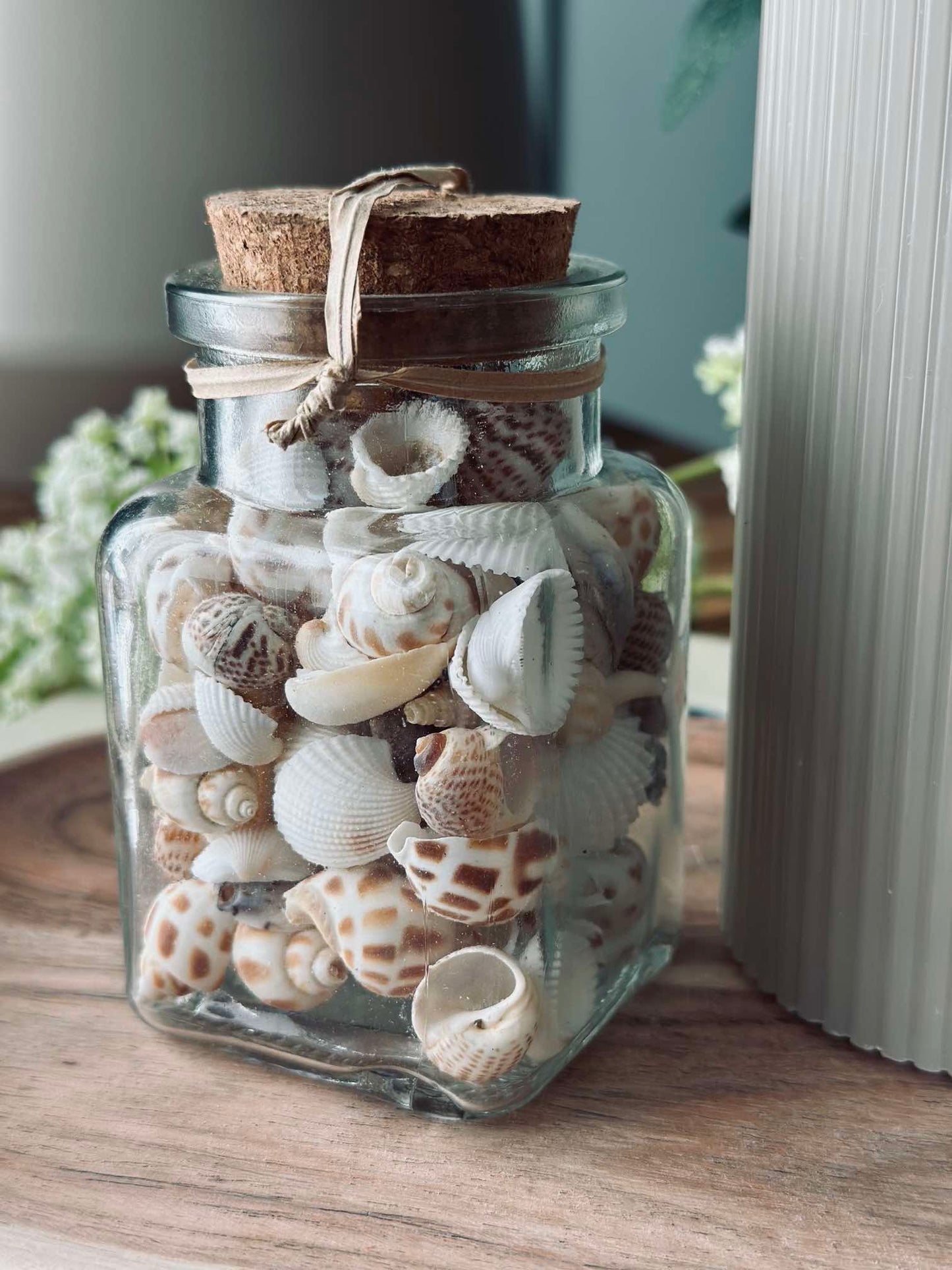 Strandskaller i glas - Mix