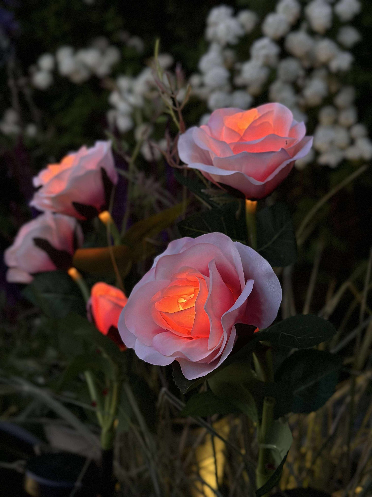Rose med solceller - Rosa