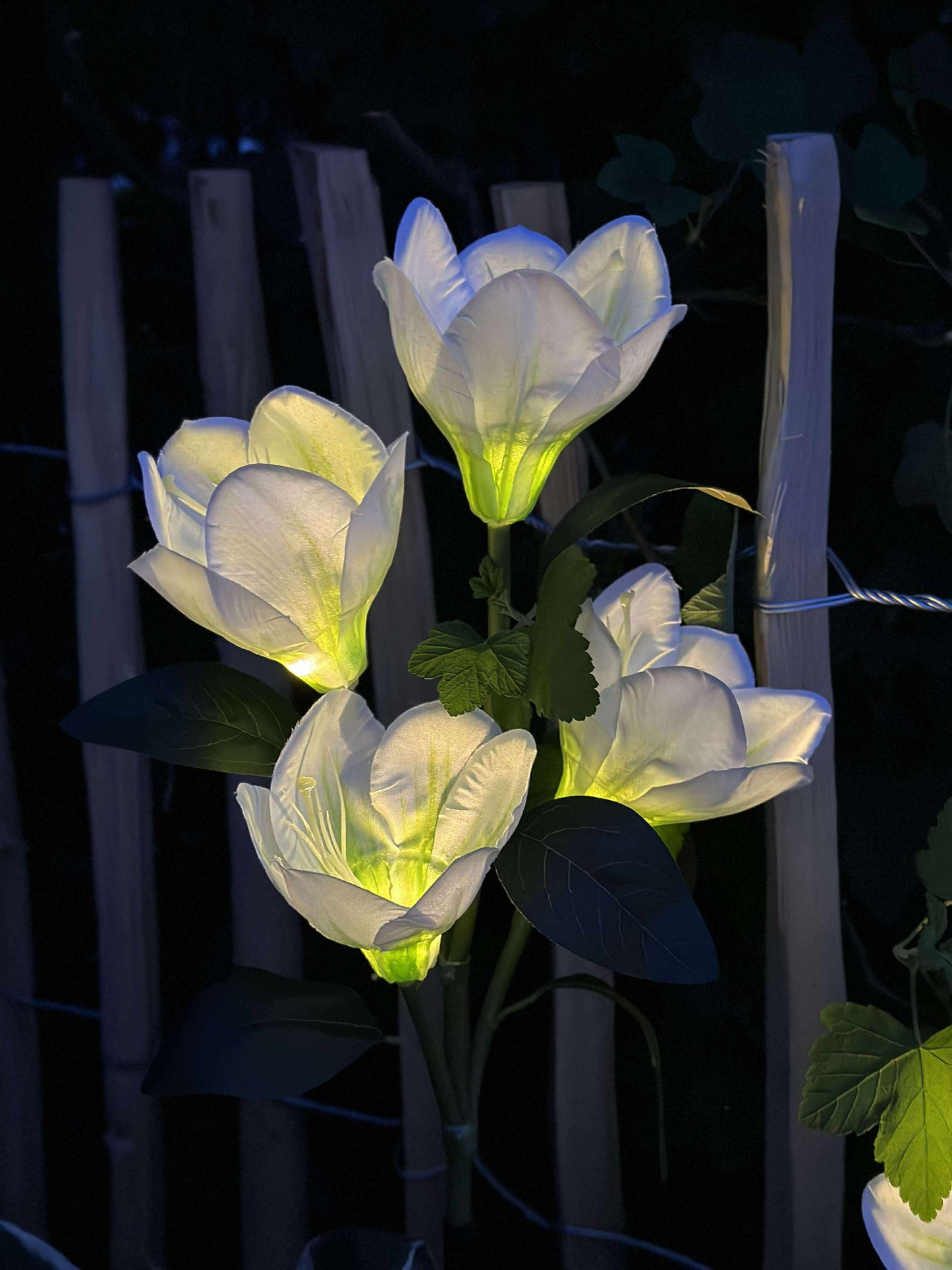 Magnolia med solceller - Hvid