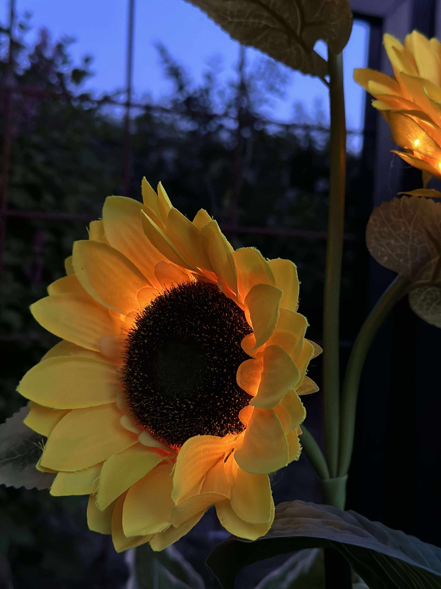Solsikke med solceller