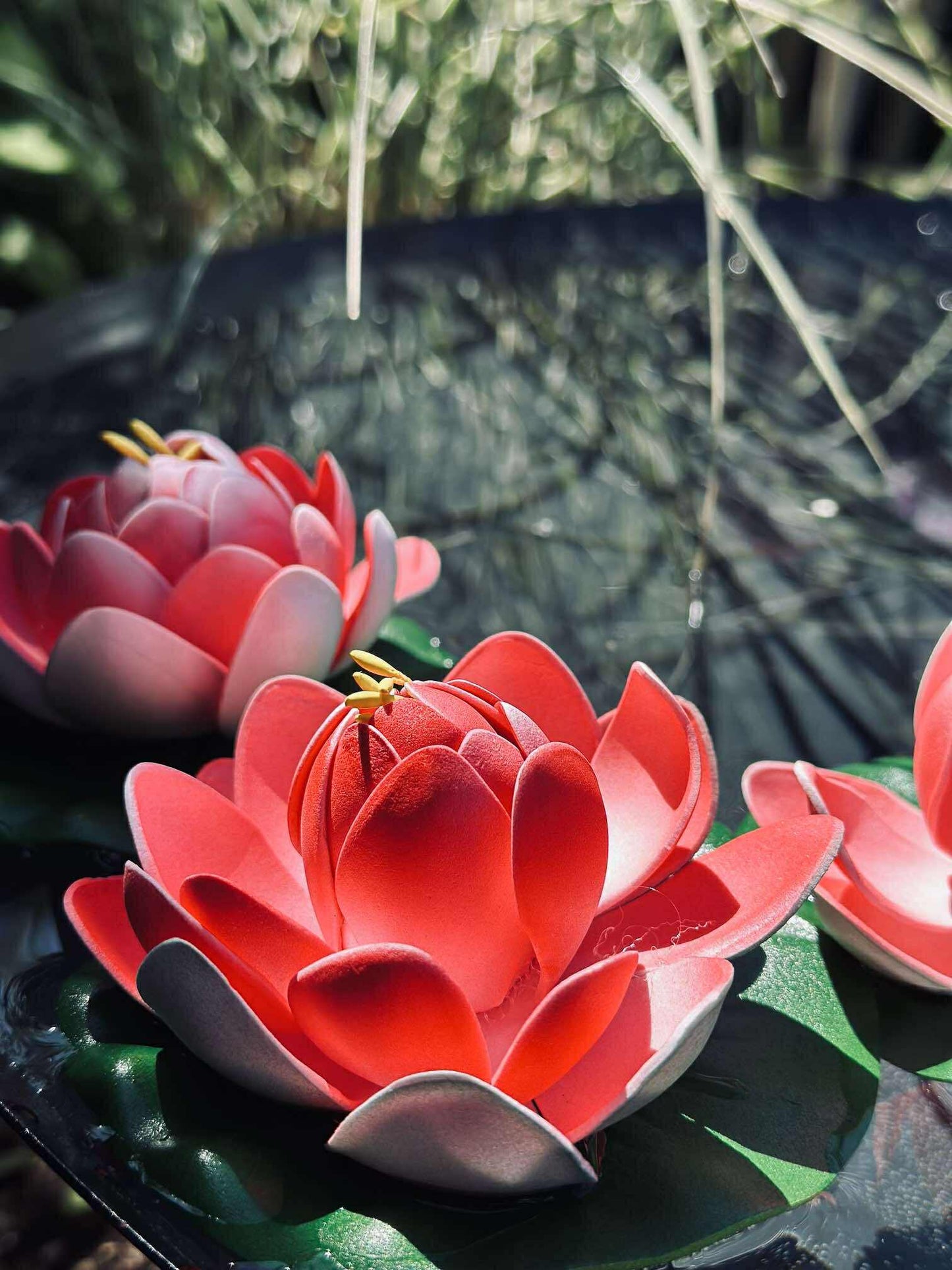 Lotus - Flere farver
