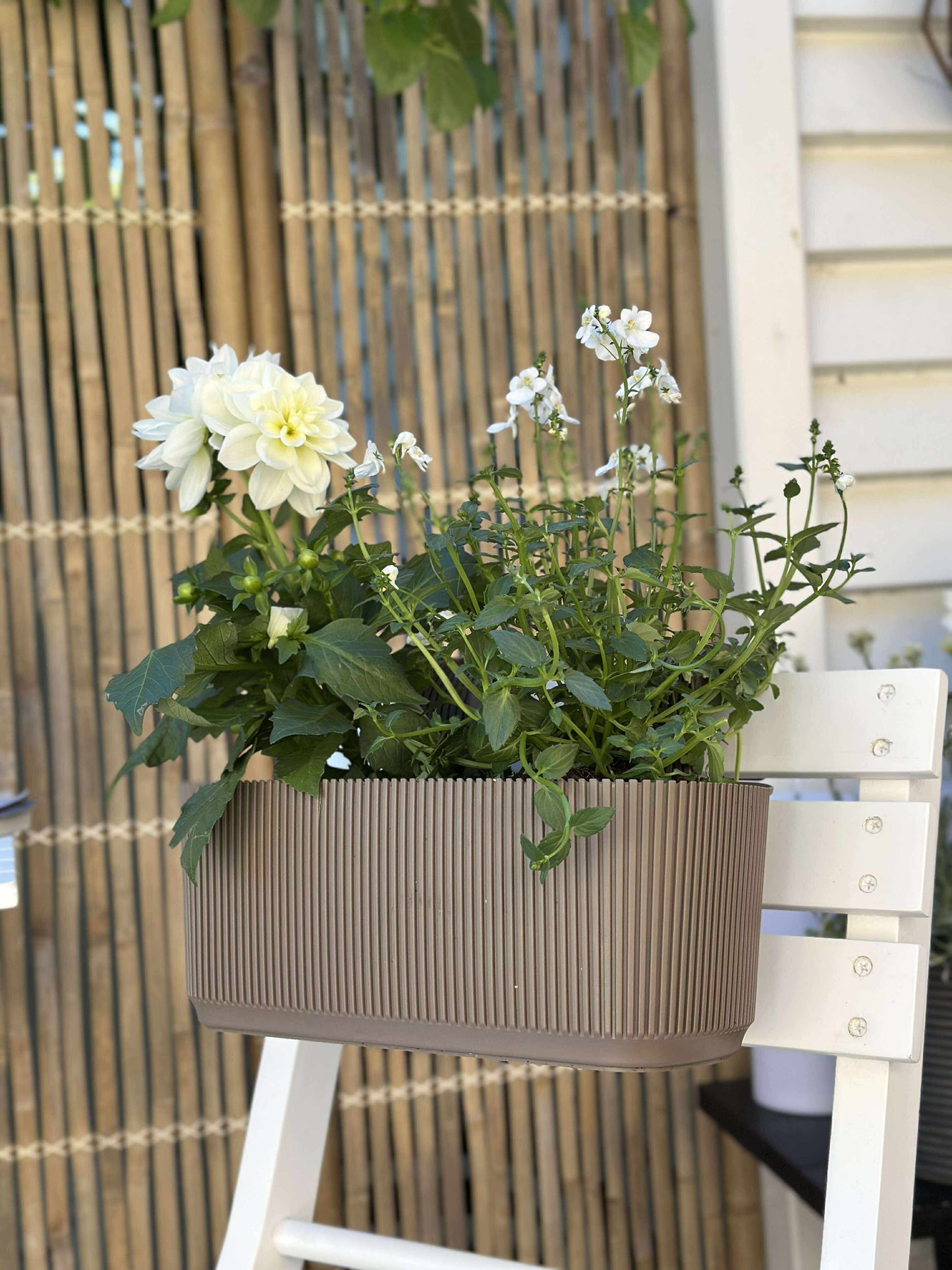 Plantekasse med ophæng - Beige