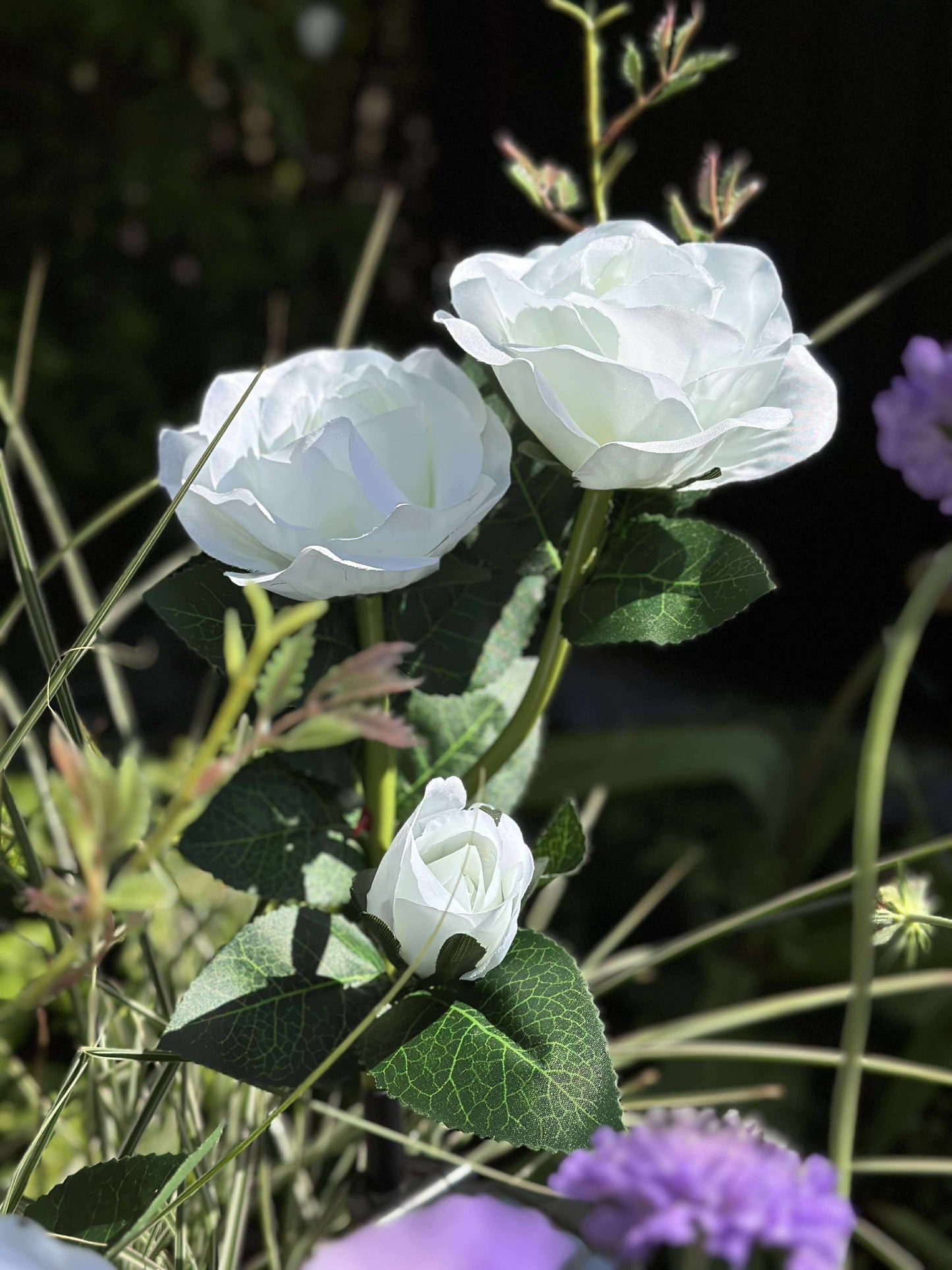 Rose med solceller - Hvid