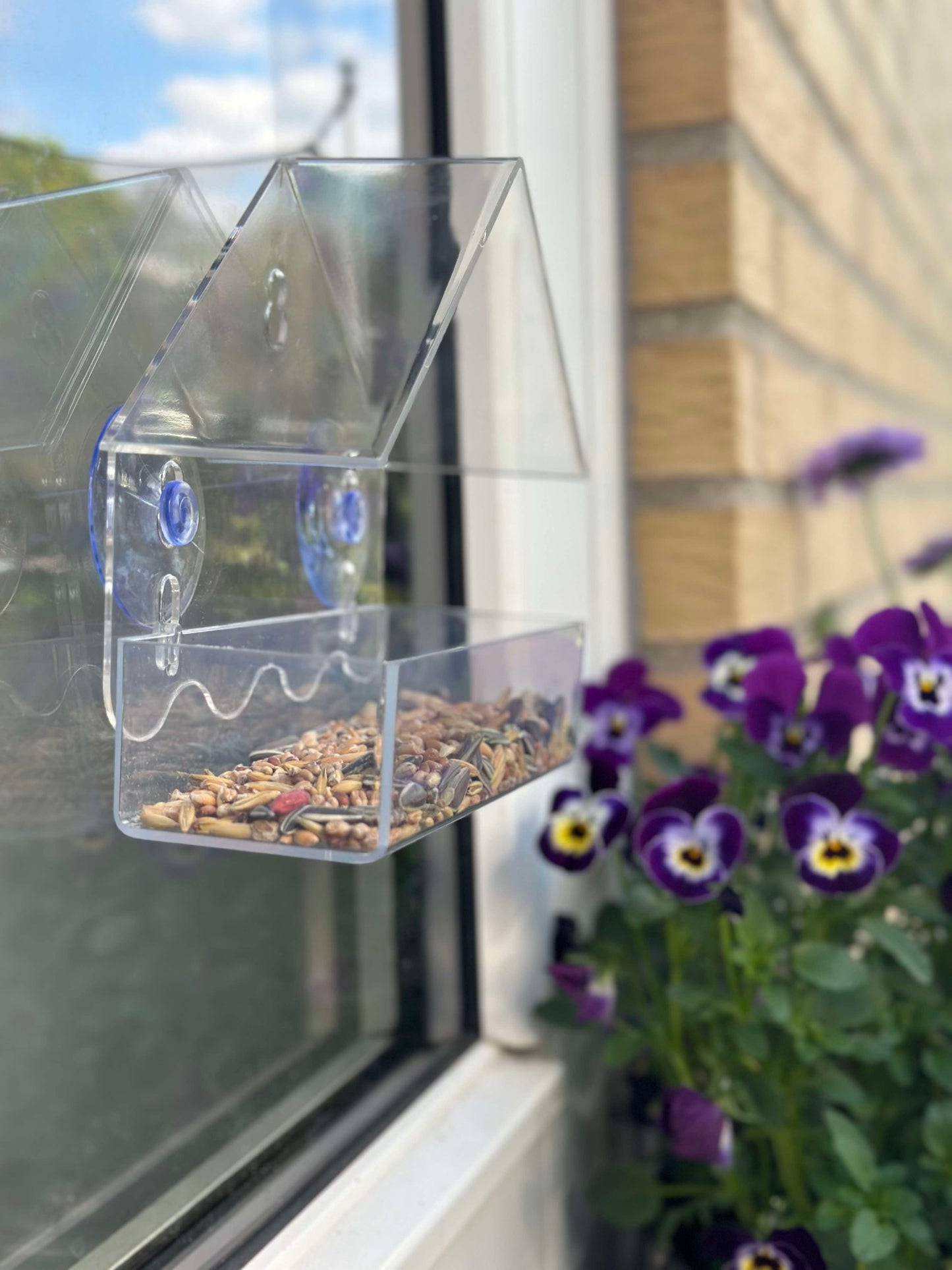 Fugle foderhus m. Sugekop