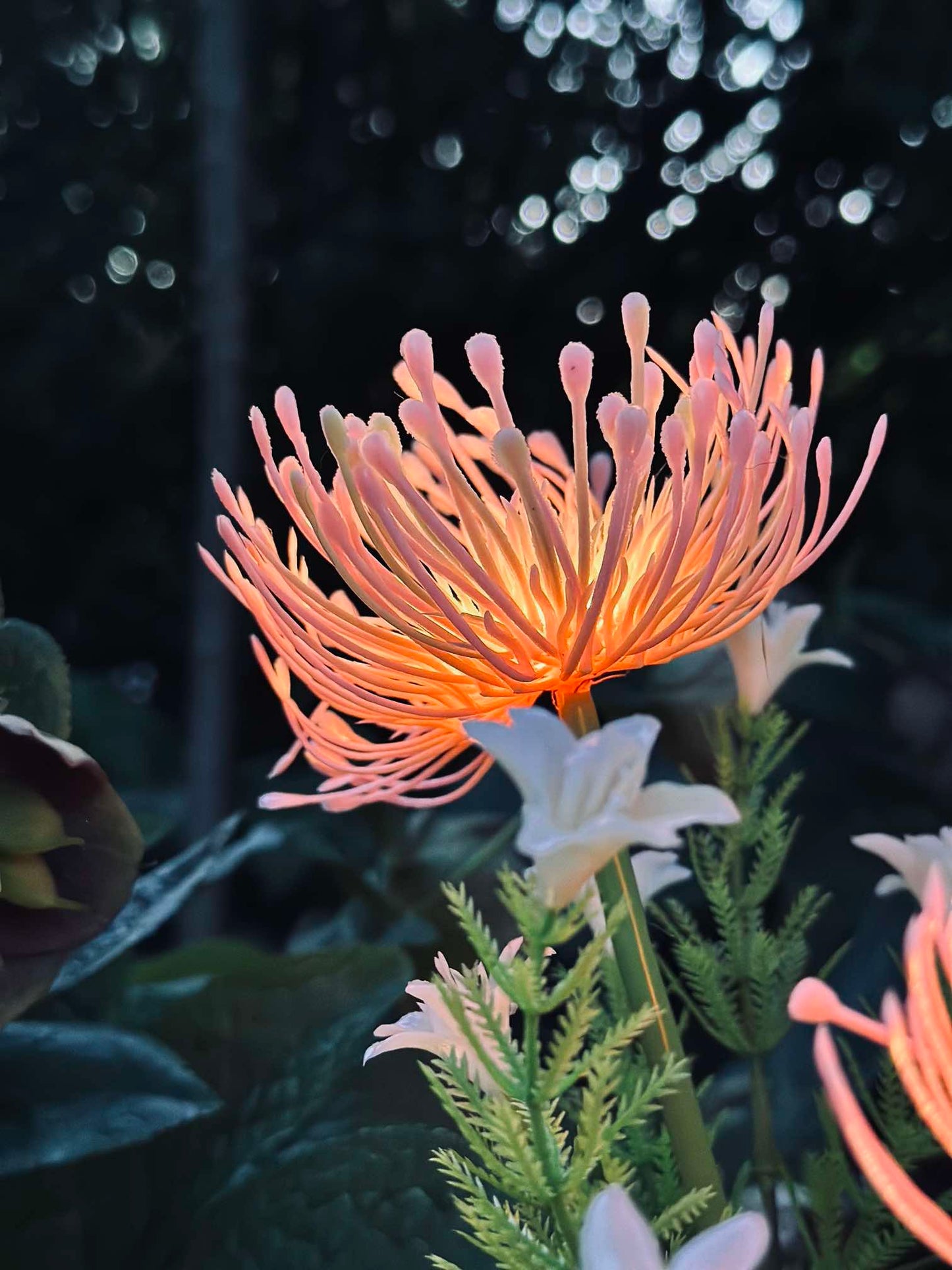Blomst med solceller - Spider Lili rose