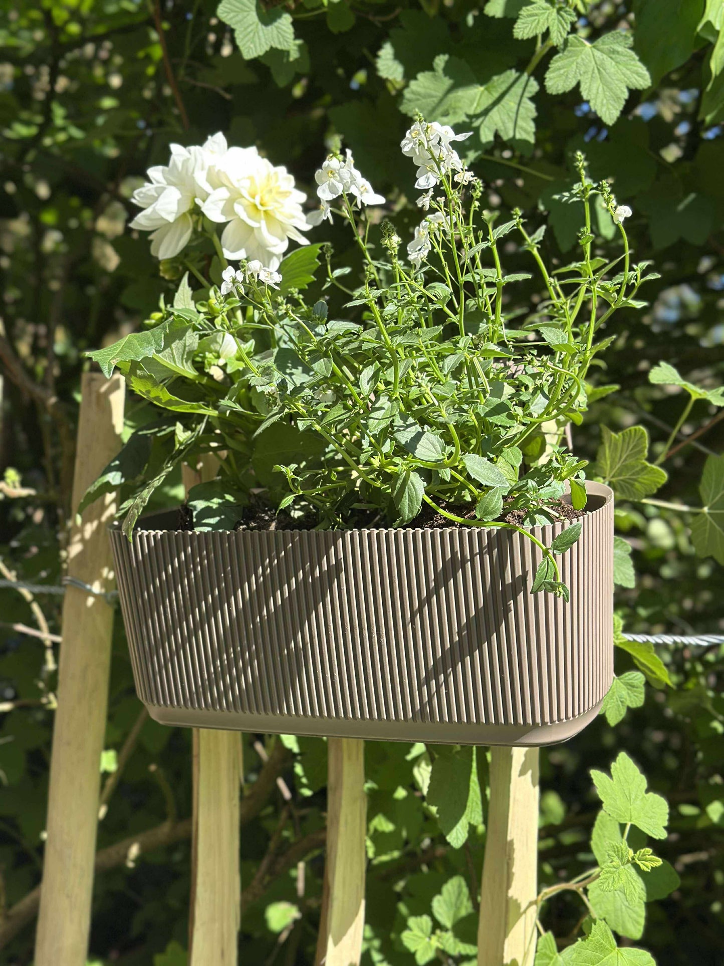 Plantekasse med ophæng - Beige