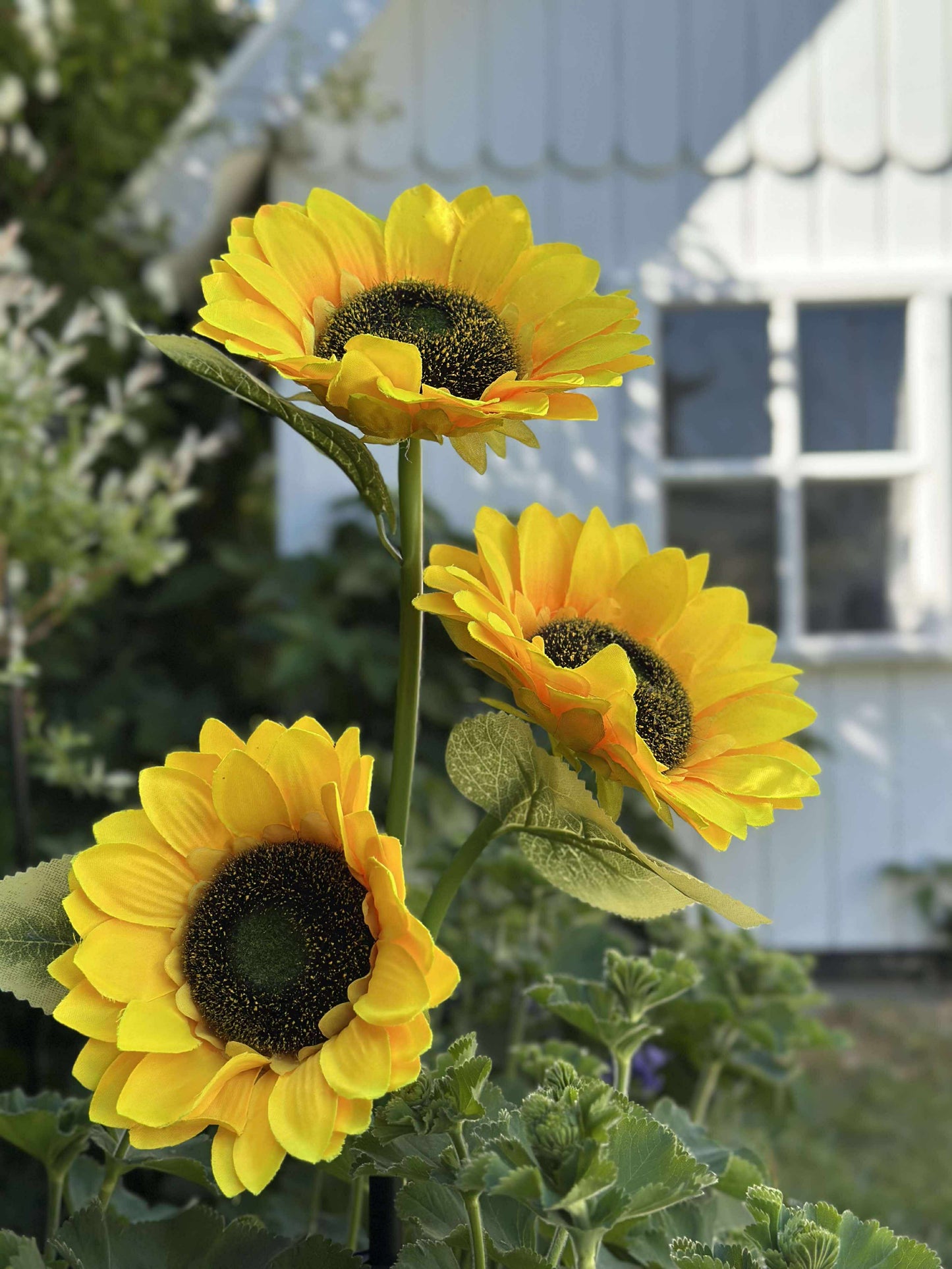 Solsikke med solceller