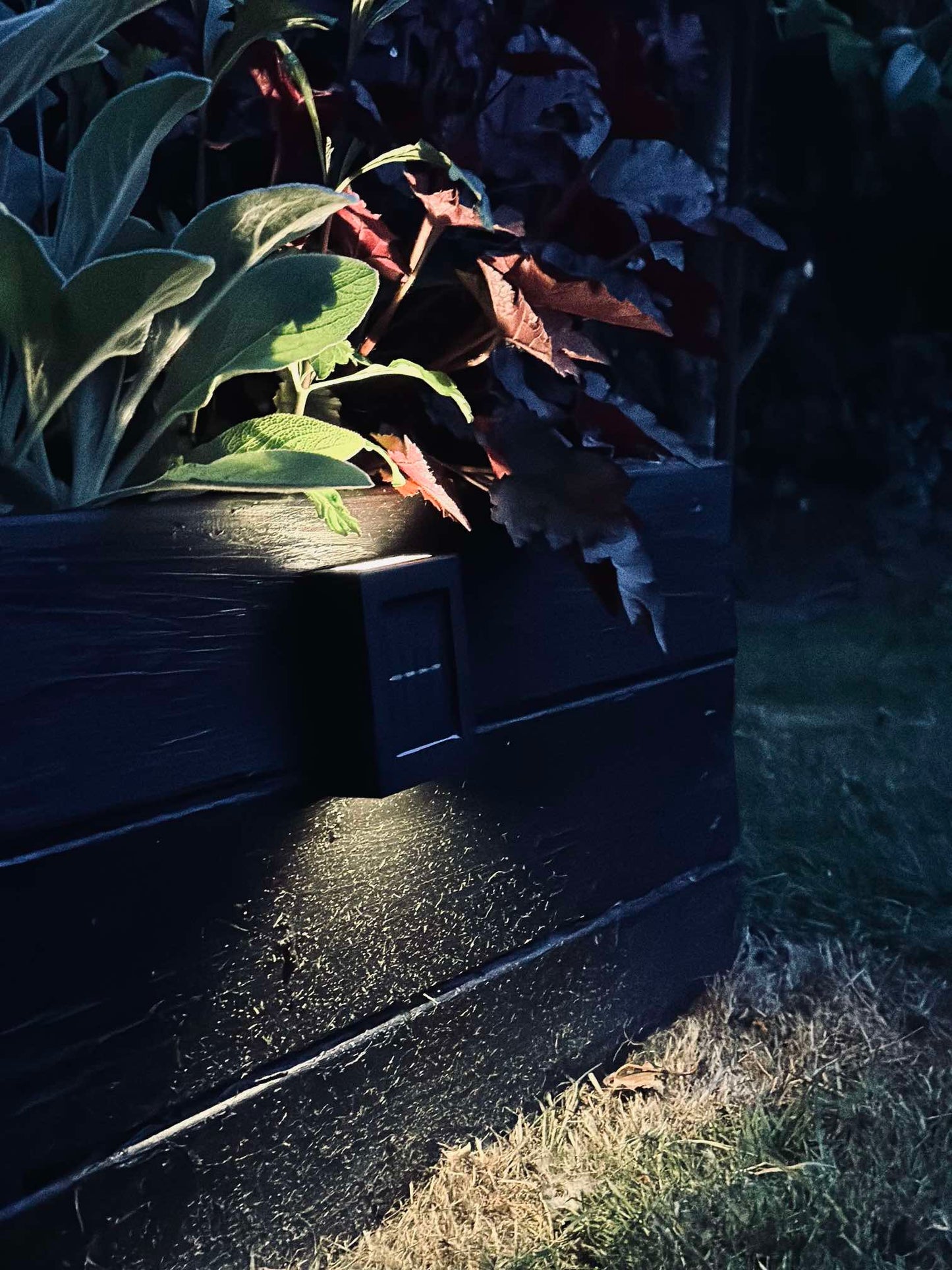 Aura Solar Lampe - pakke med 2 stk