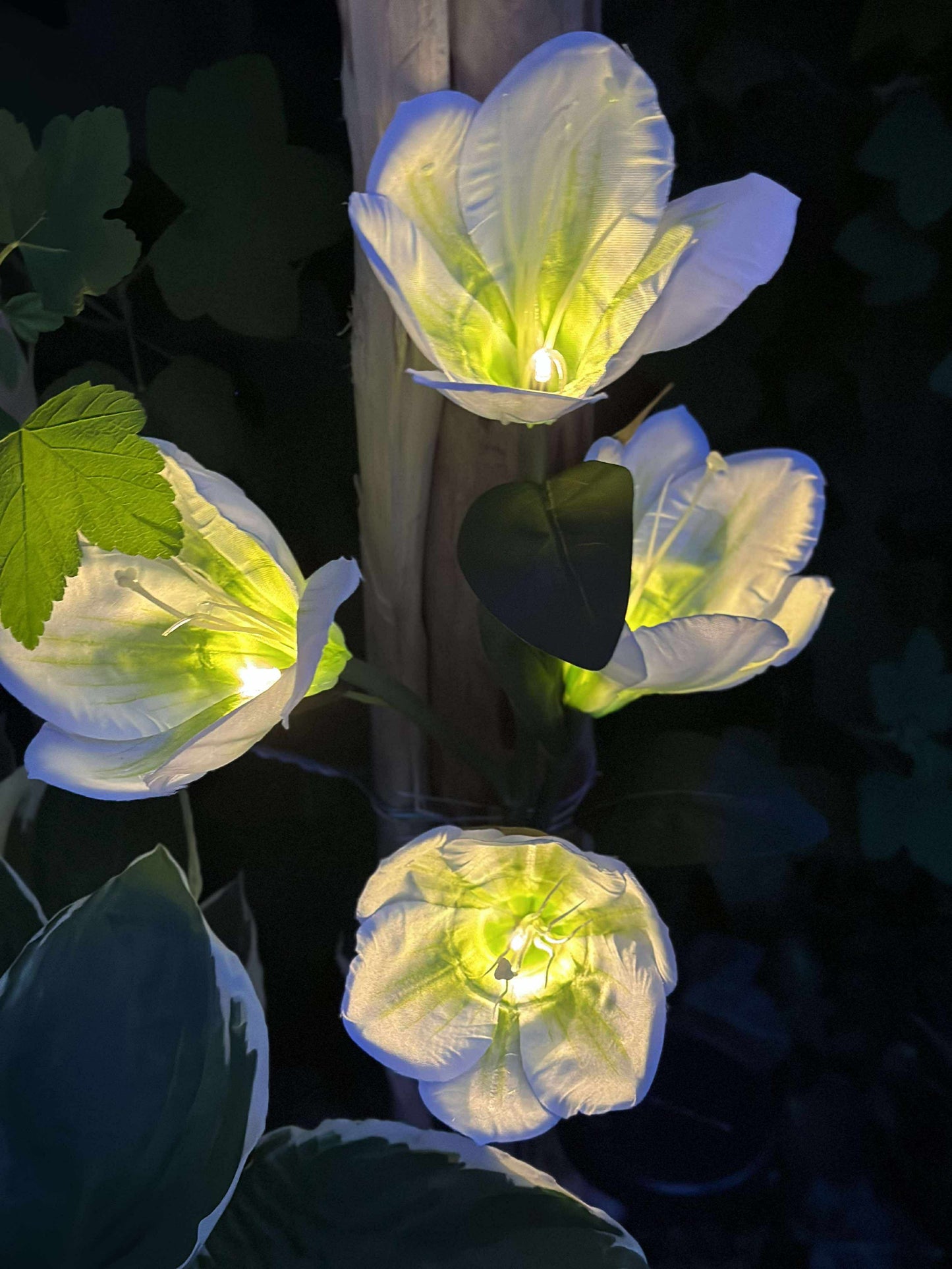 Magnolia med solceller - Hvid