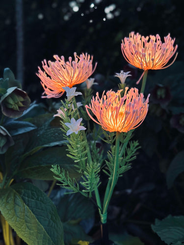 Blomst med solceller - Spider Lili rose