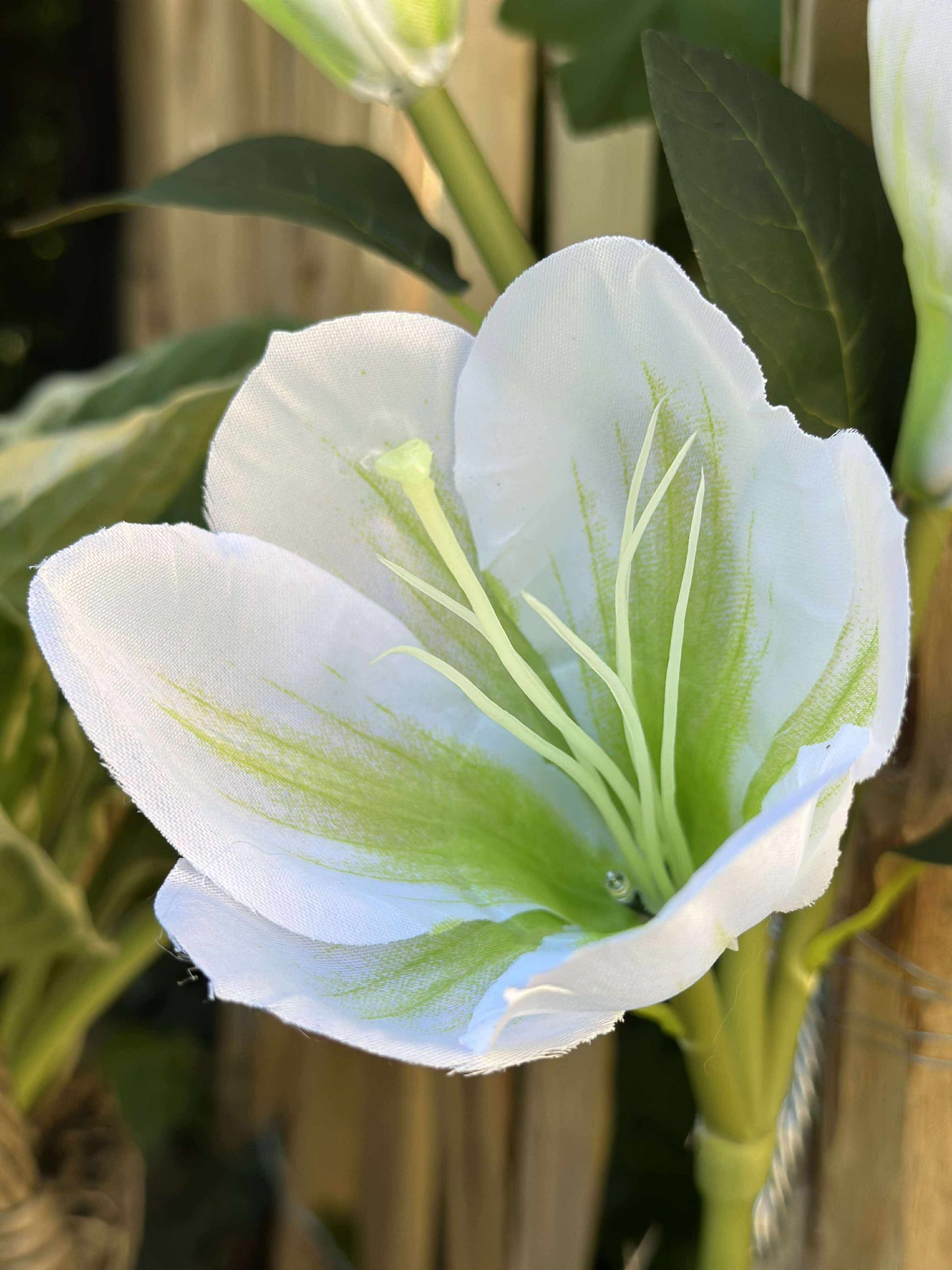 Magnolia med solceller - Hvid