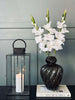 Gladiolus stilk