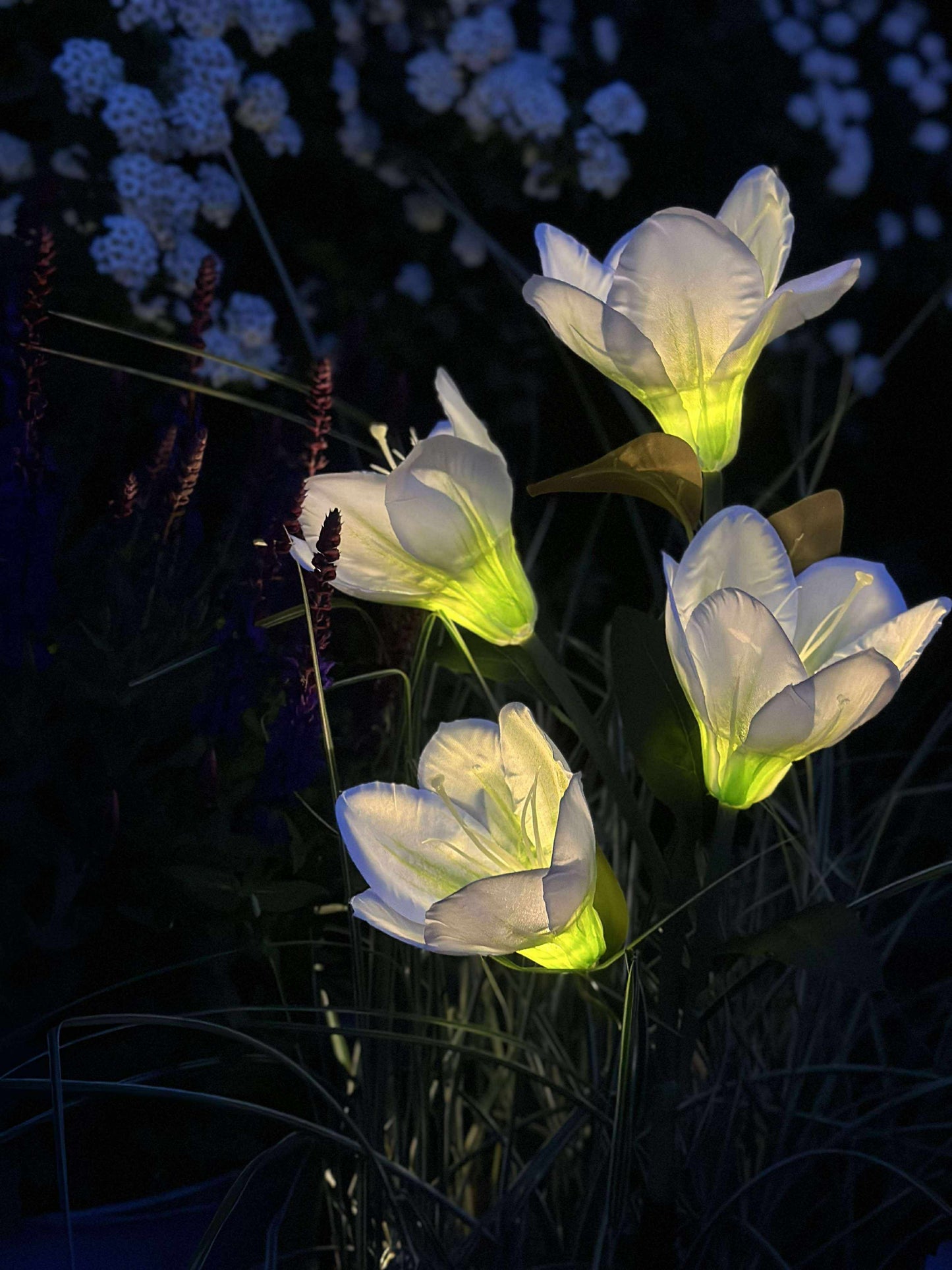 Magnolia med solceller - Hvid