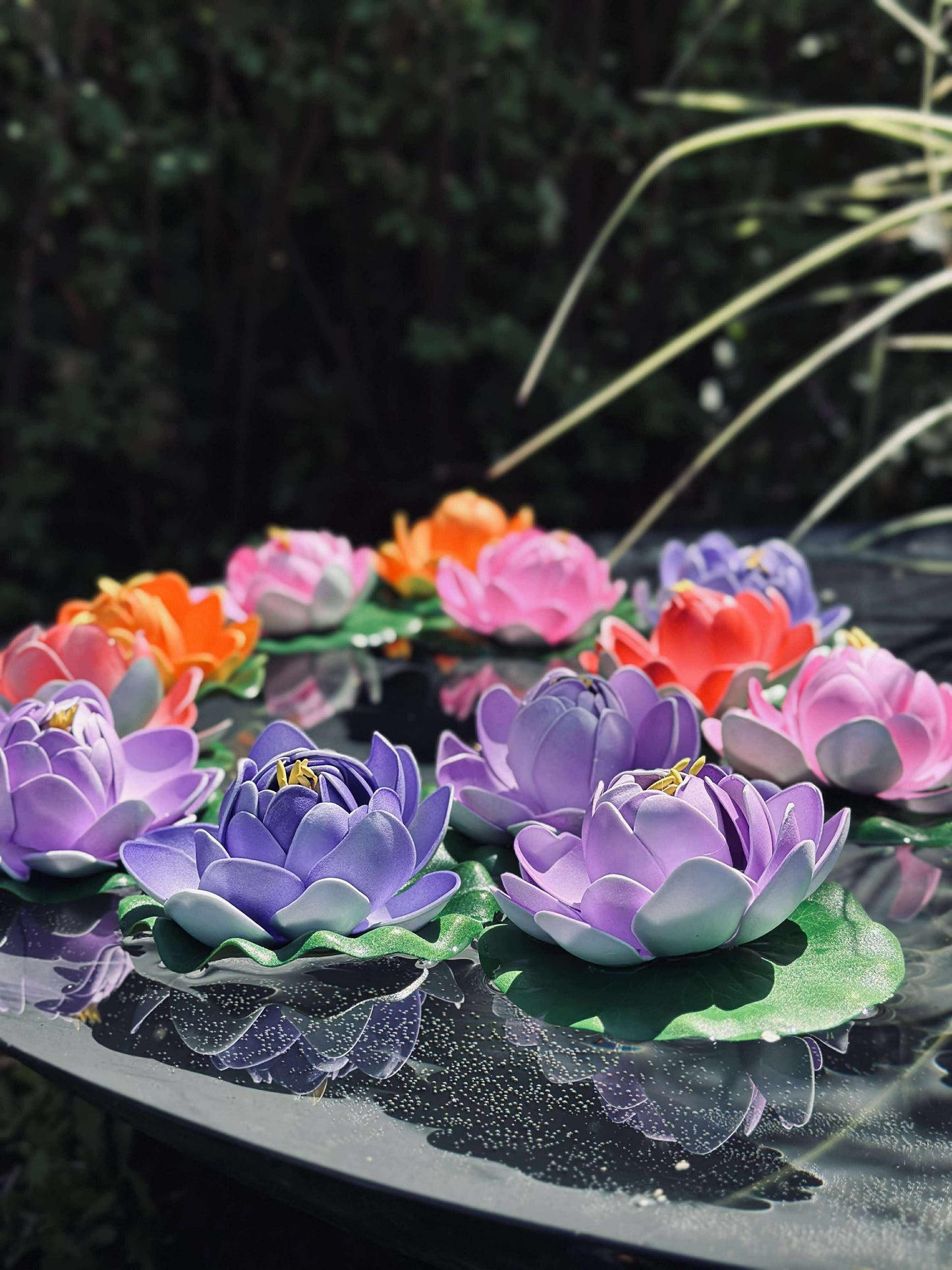 Lotus - Flere farver