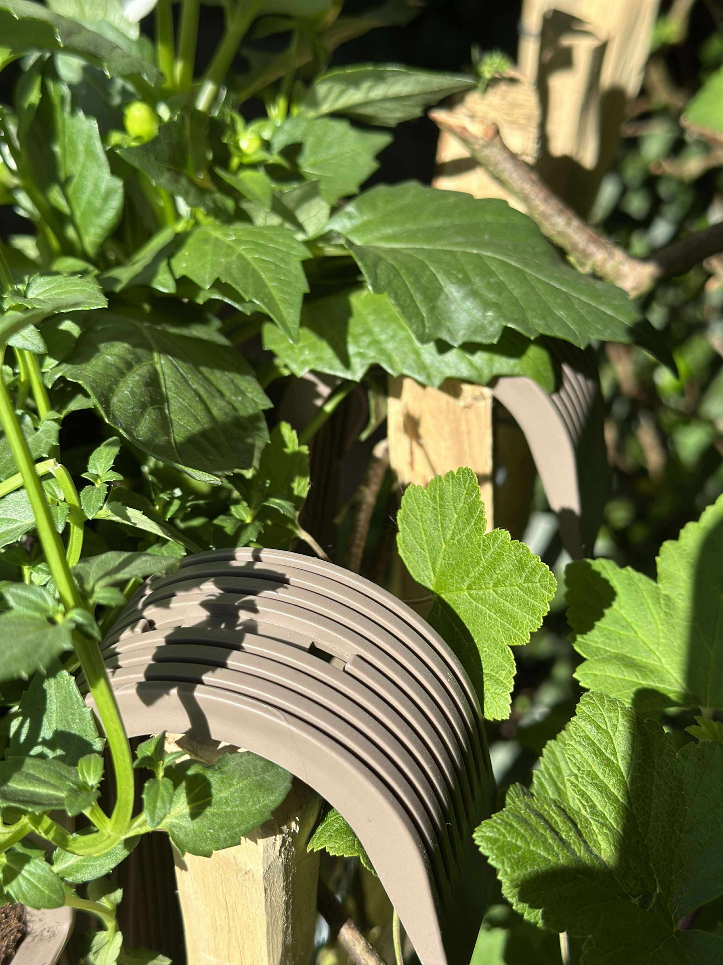 Plantekasse med ophæng - Beige