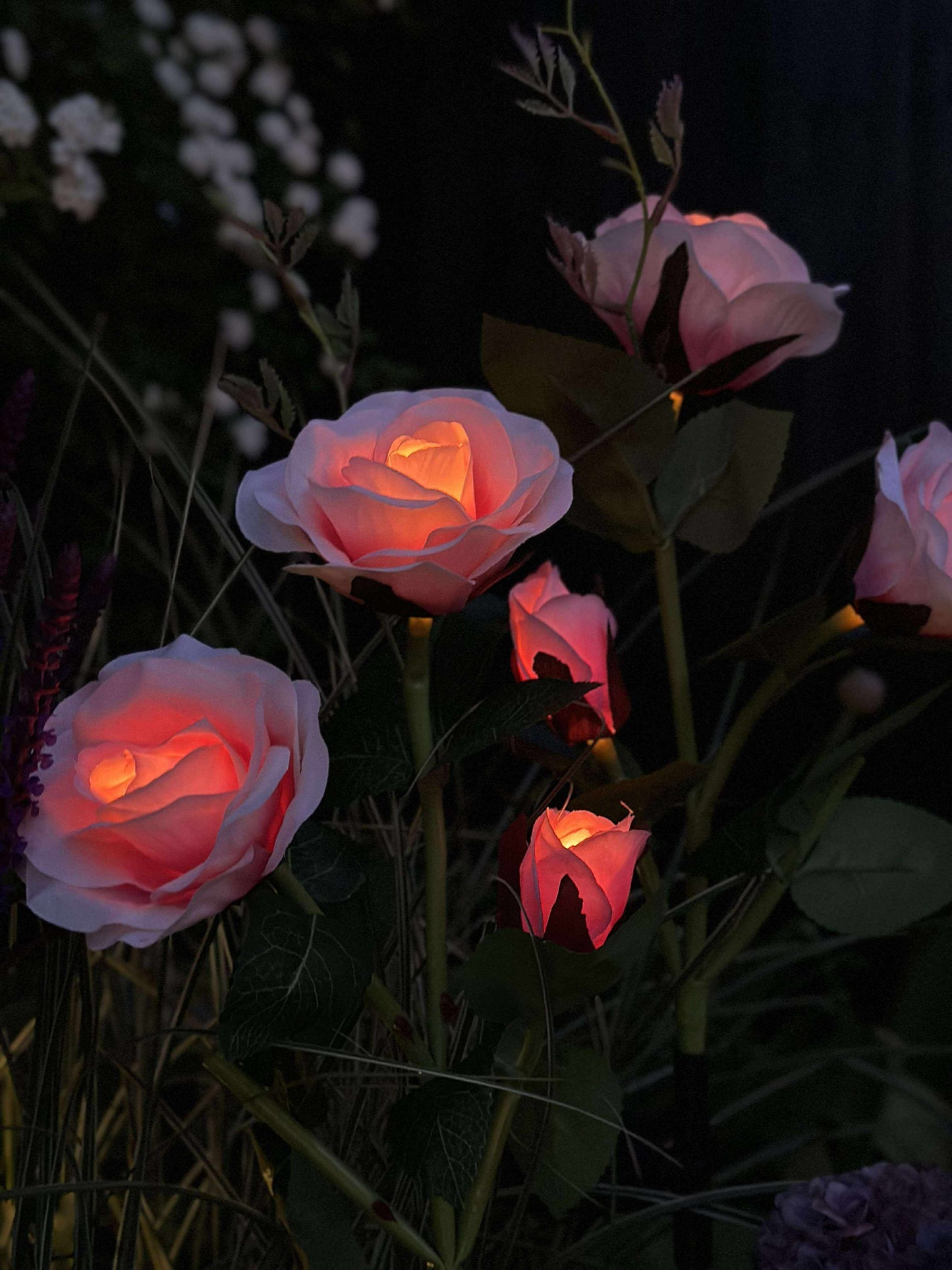 Rose med solceller - Rosa