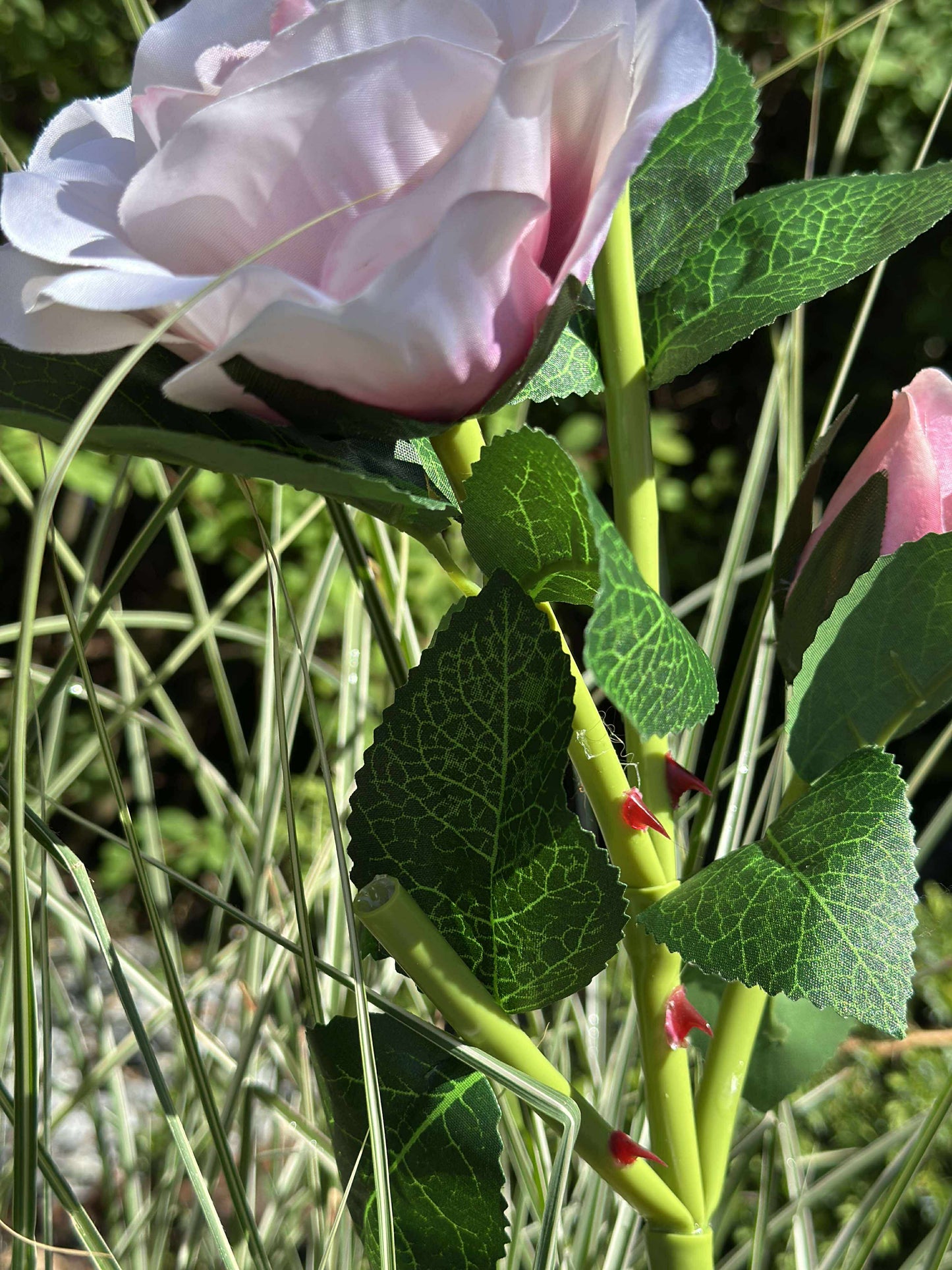 Rose med solceller - Rosa