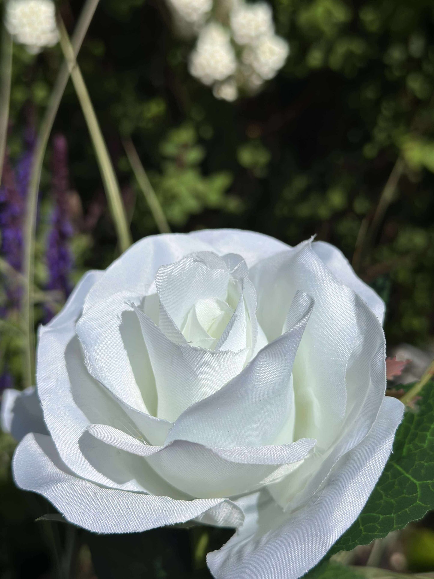 Rose med solceller - Hvid