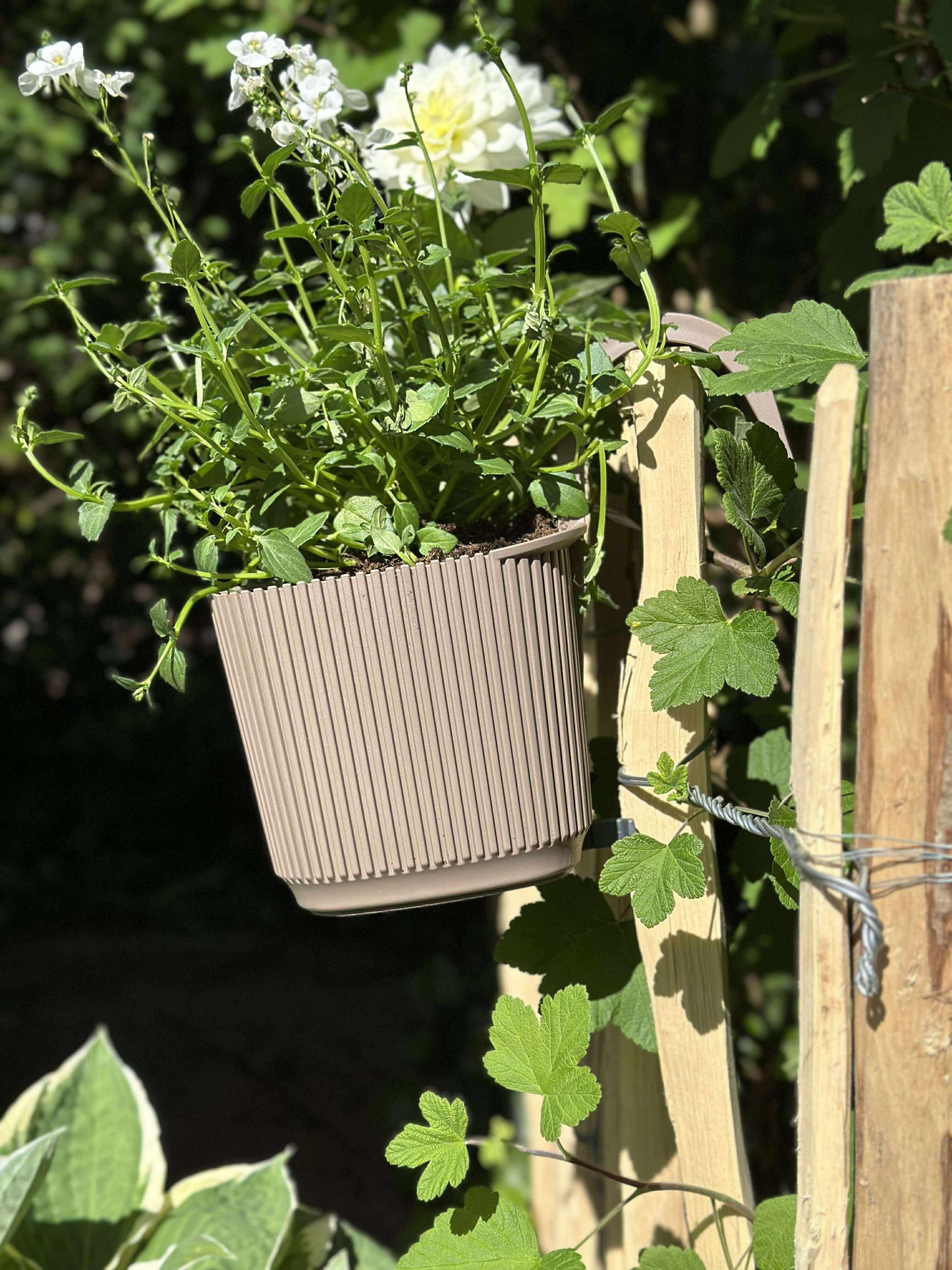 Plantekasse med ophæng - Beige