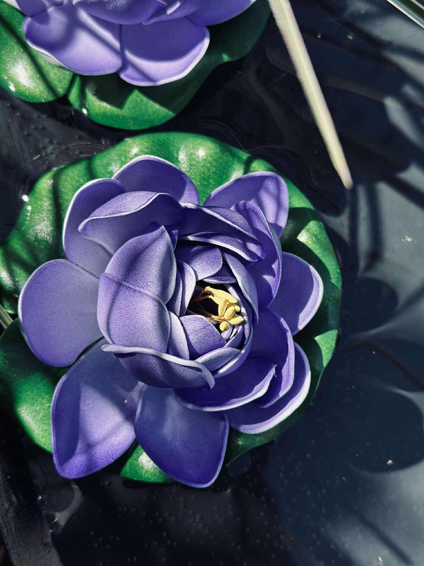 Lotus - Flere farver
