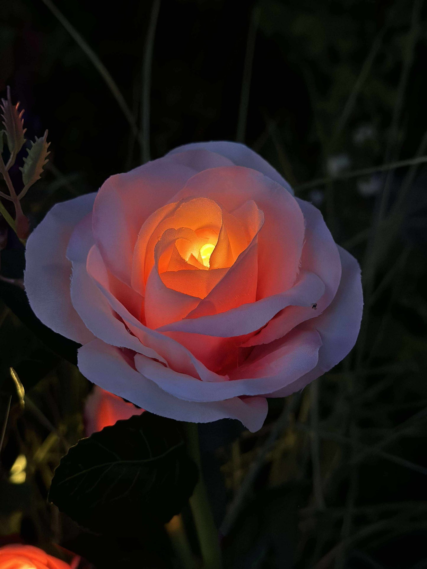 Rose med solceller - Rosa
