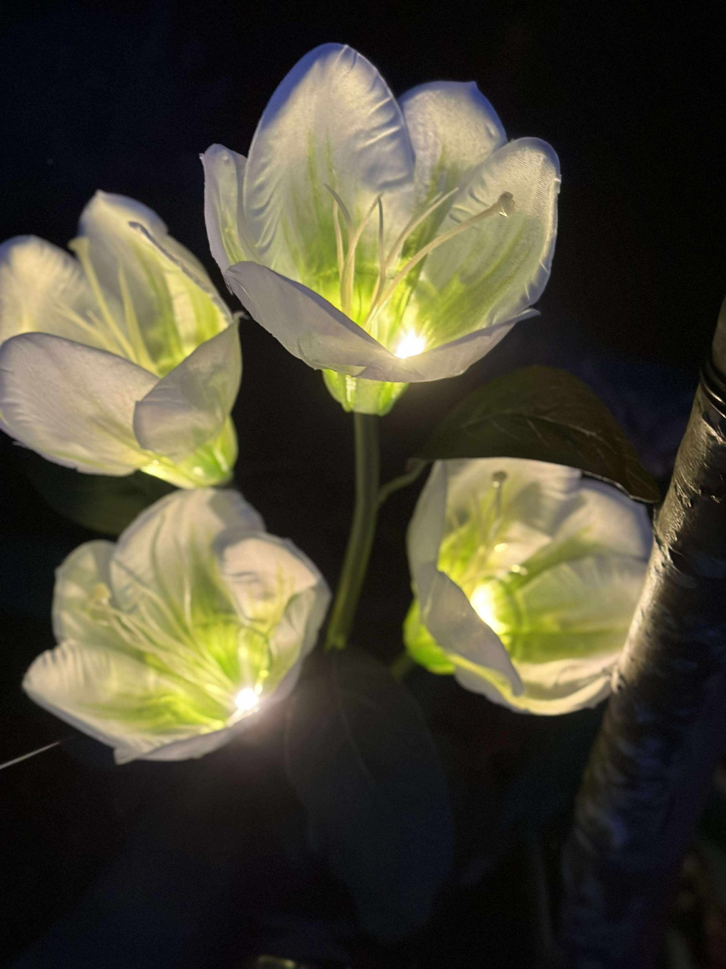 Magnolia med solceller - Hvid