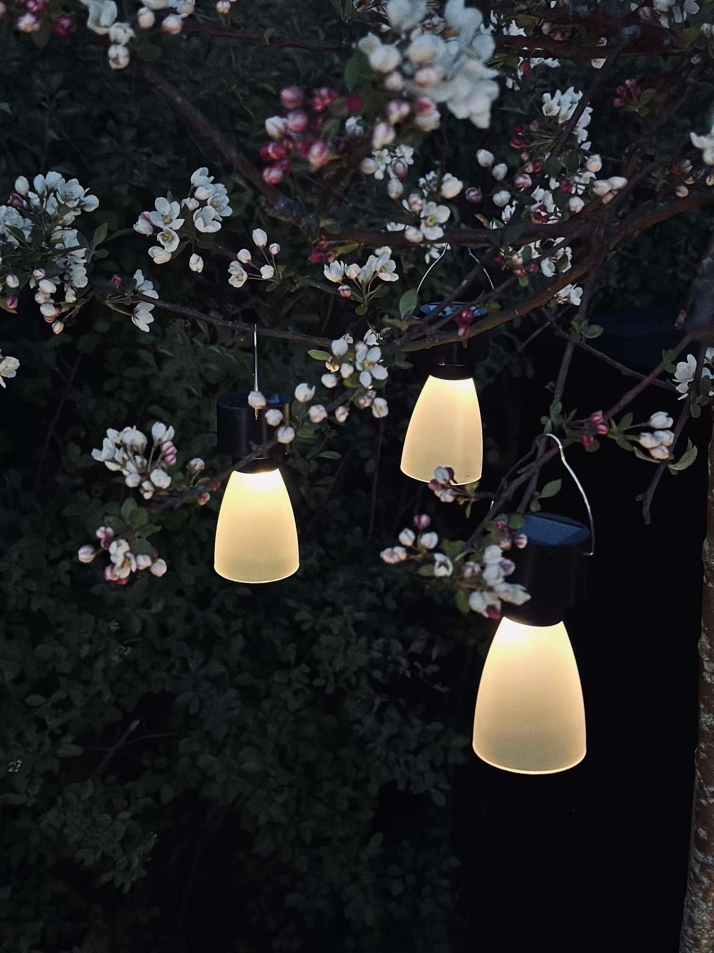 Mini lampe med solar