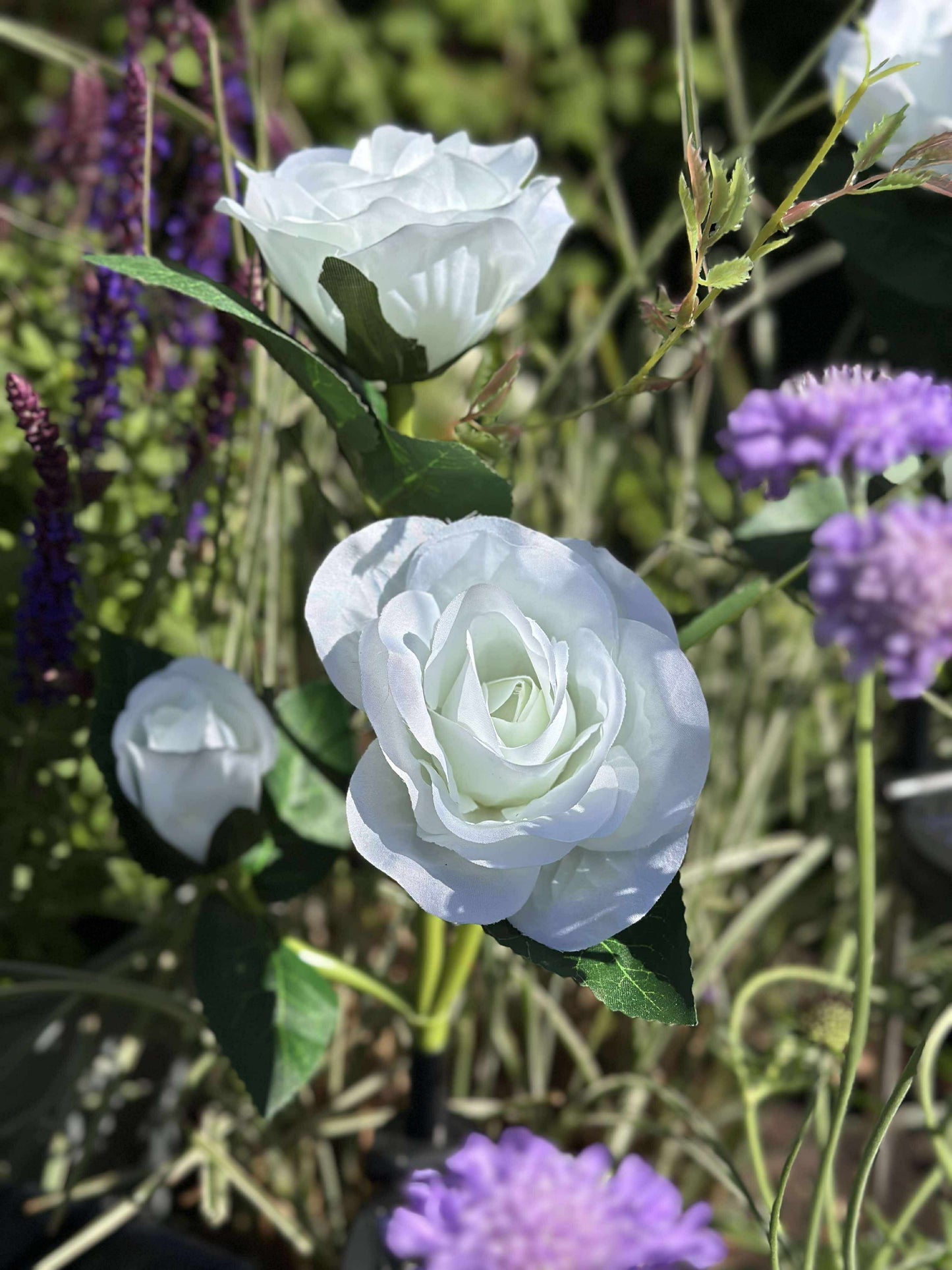 Rose med solceller - Hvid