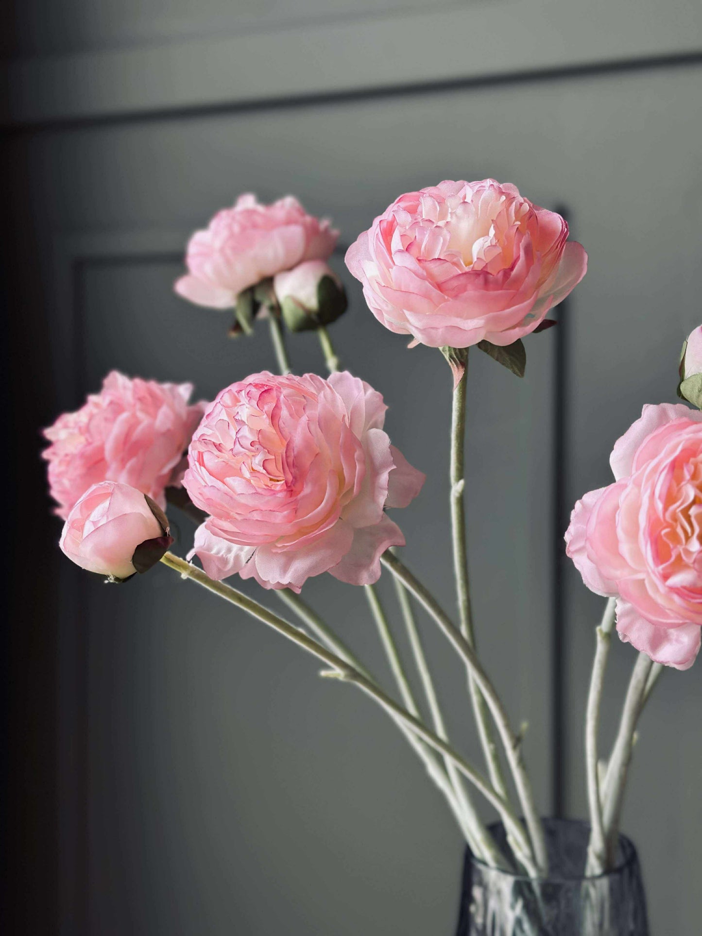 Ranunkel stilk - Rosa