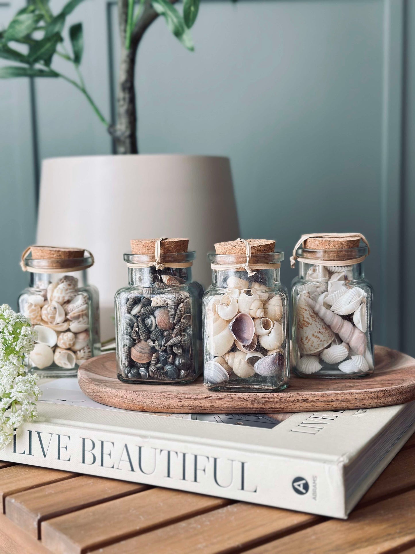 Strandskaller i glas - Mix