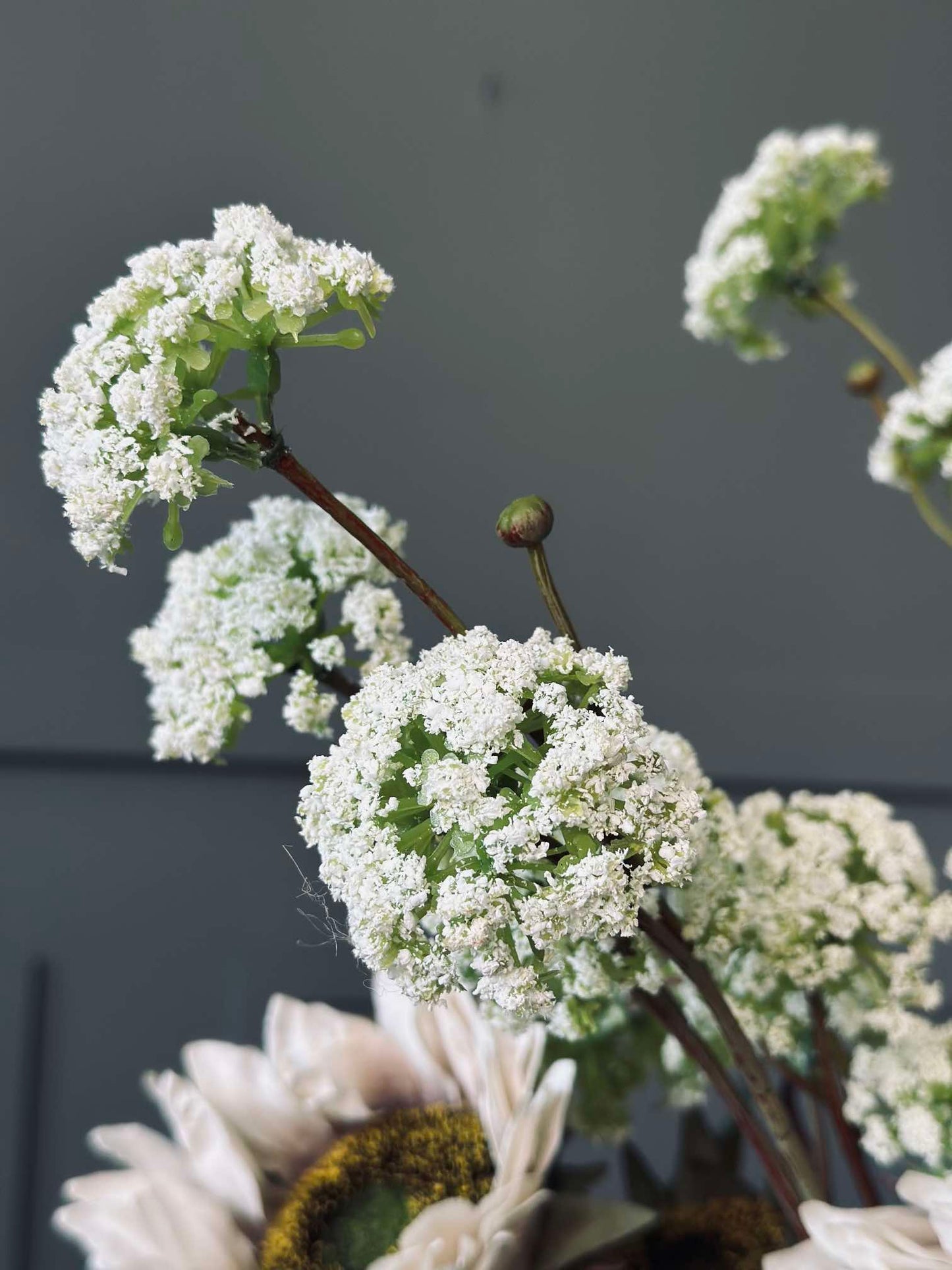 Wild flower stilk