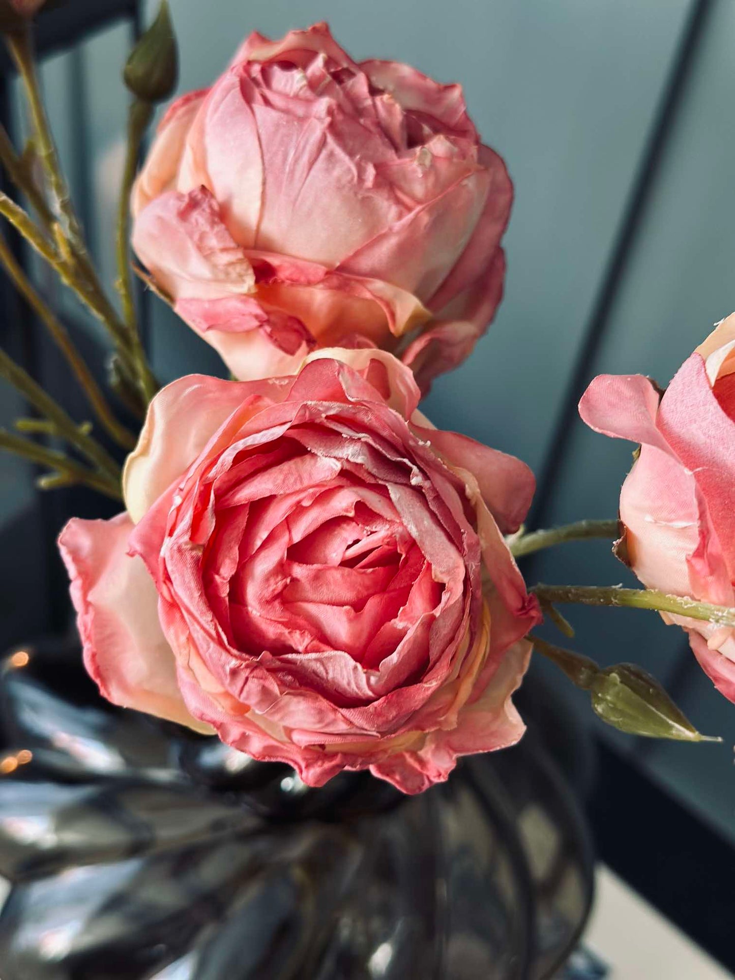 Rose stilk