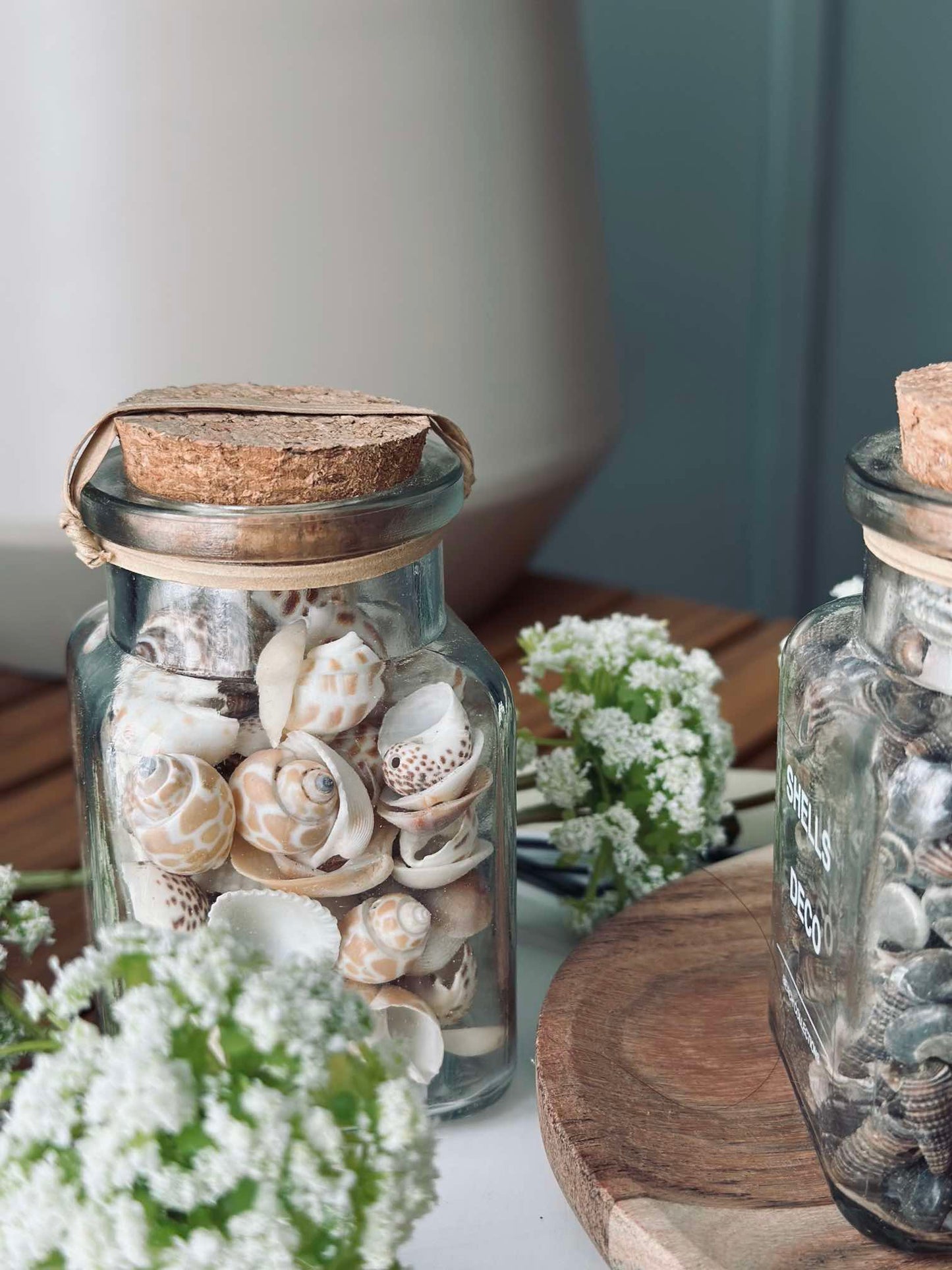 Strandskaller i glas - Mix