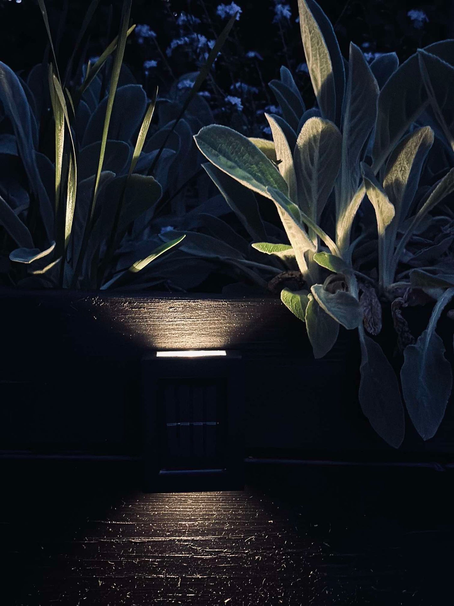 Aura Solar Lampe - pakke med 2 stk