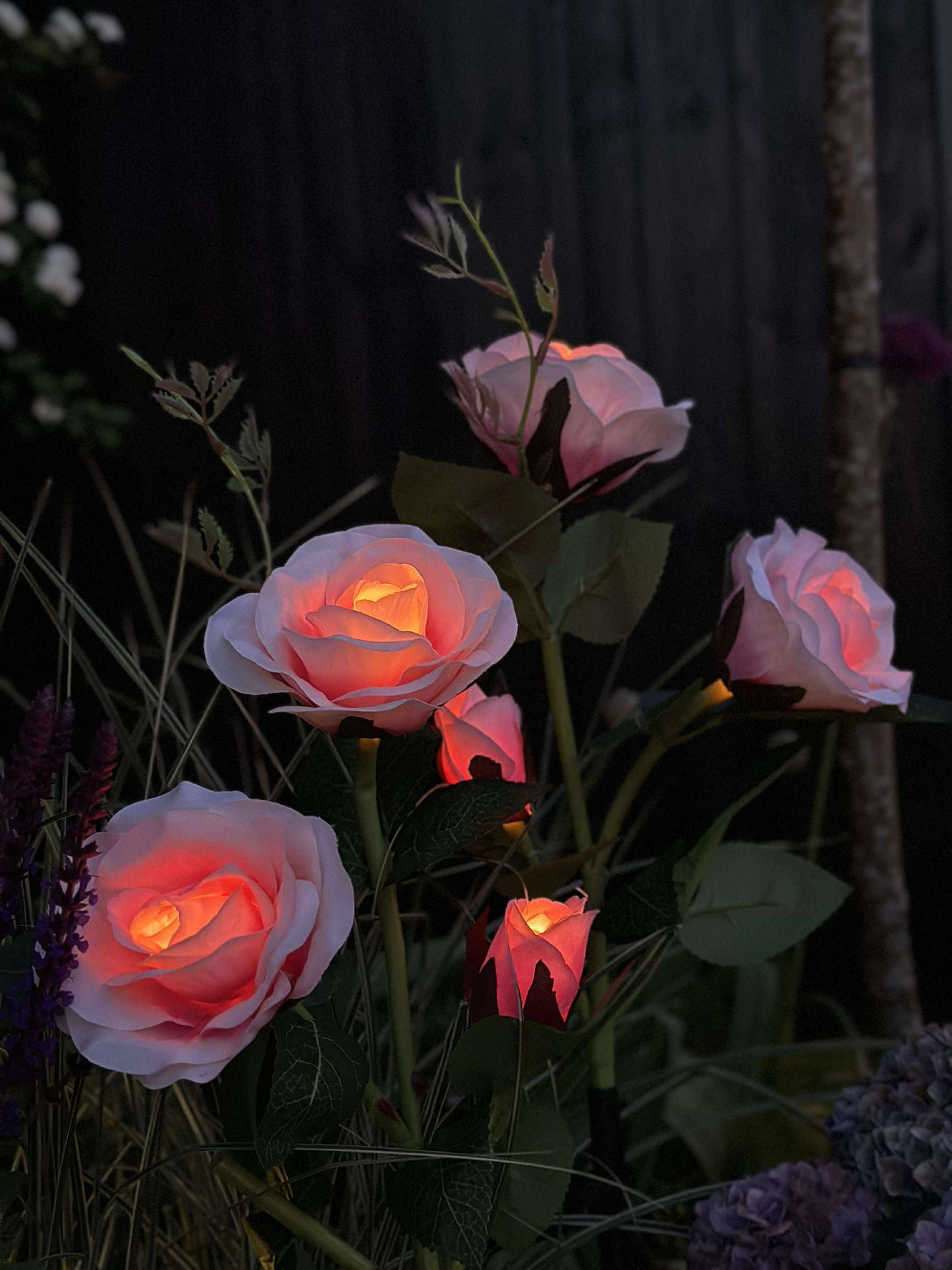 Rose med solceller - Rosa