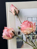 Rose stilk