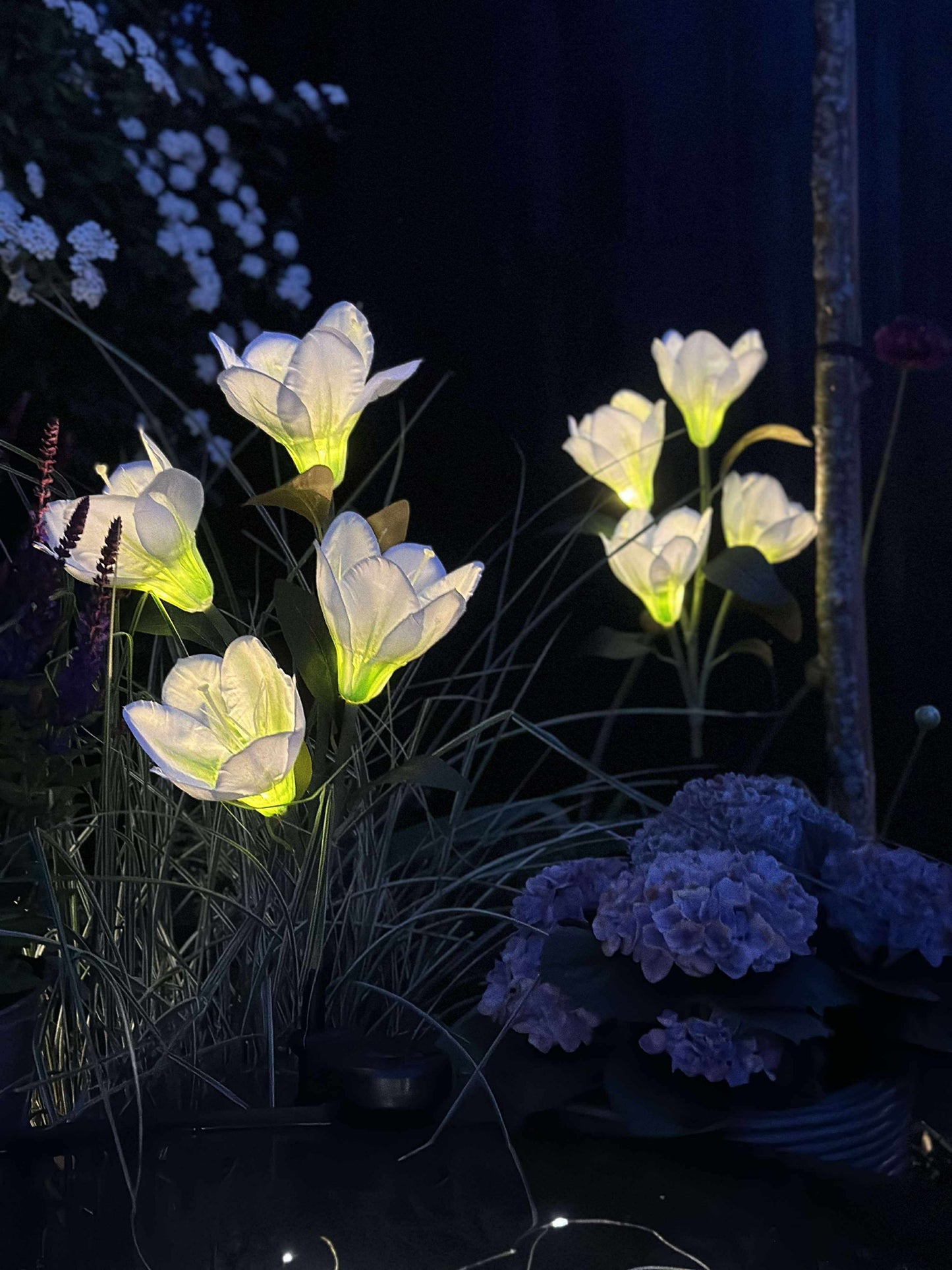 Magnolia med solceller - Hvid