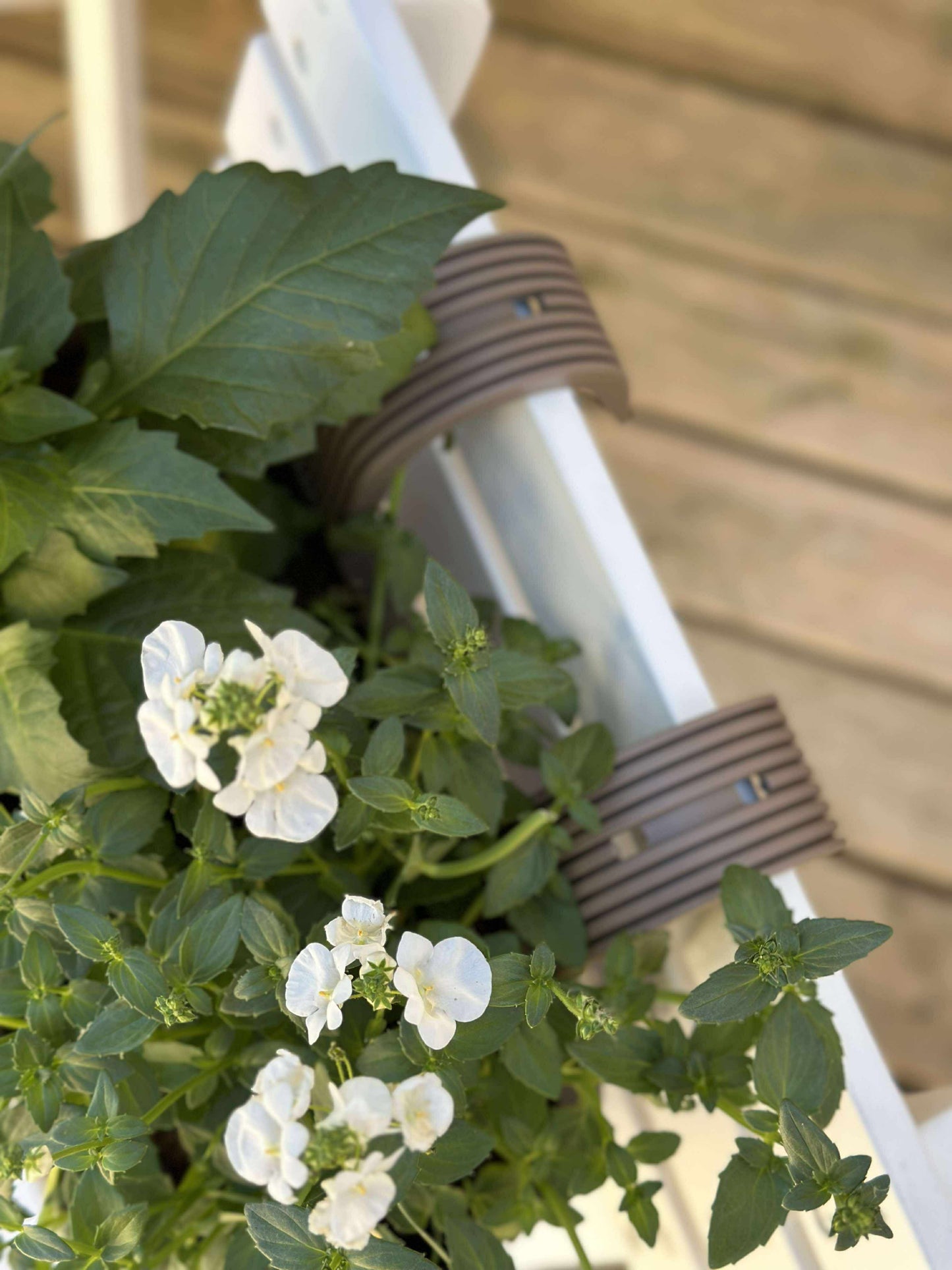 Plantekasse med ophæng - Beige