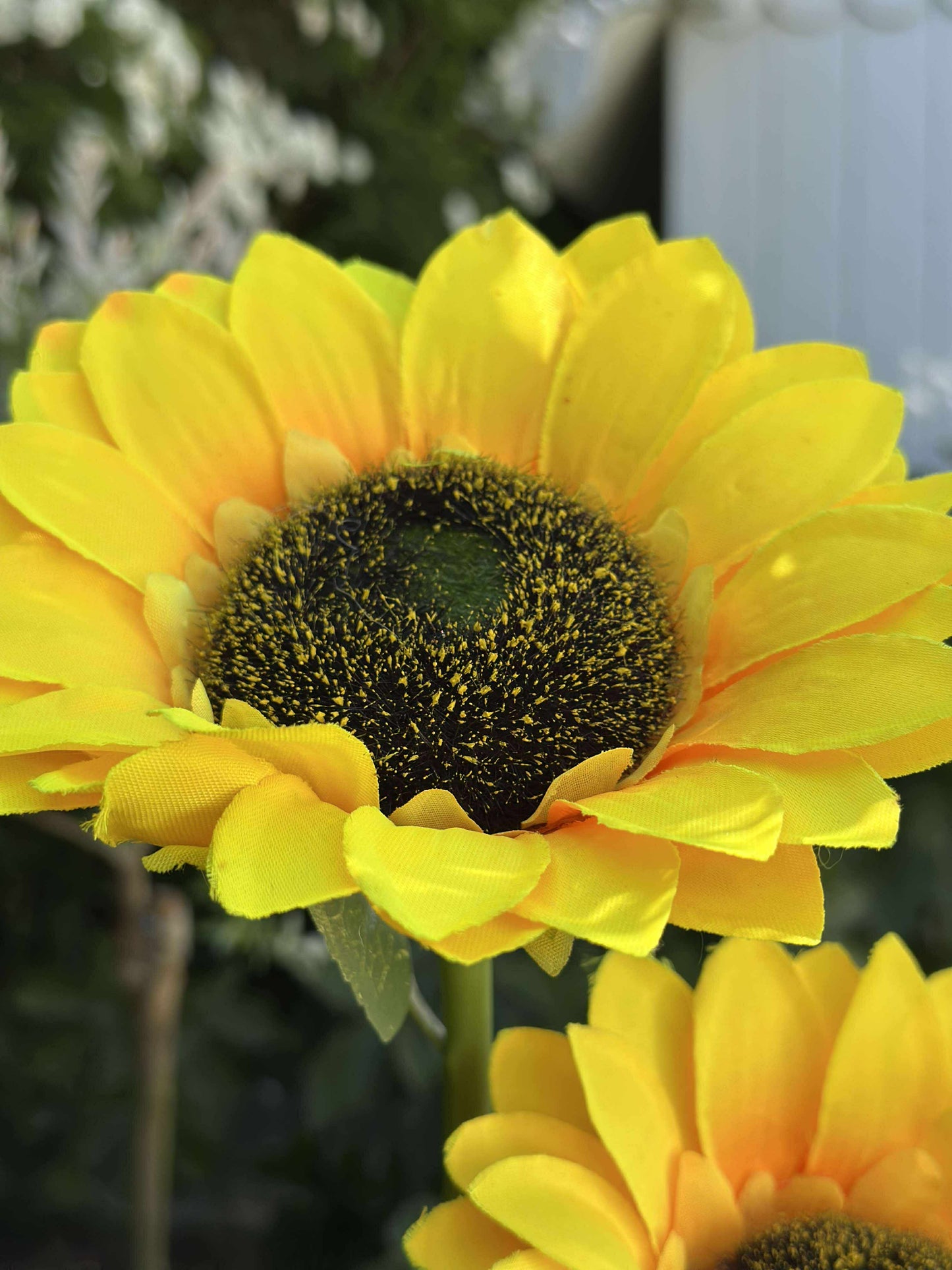 Solsikke med solceller