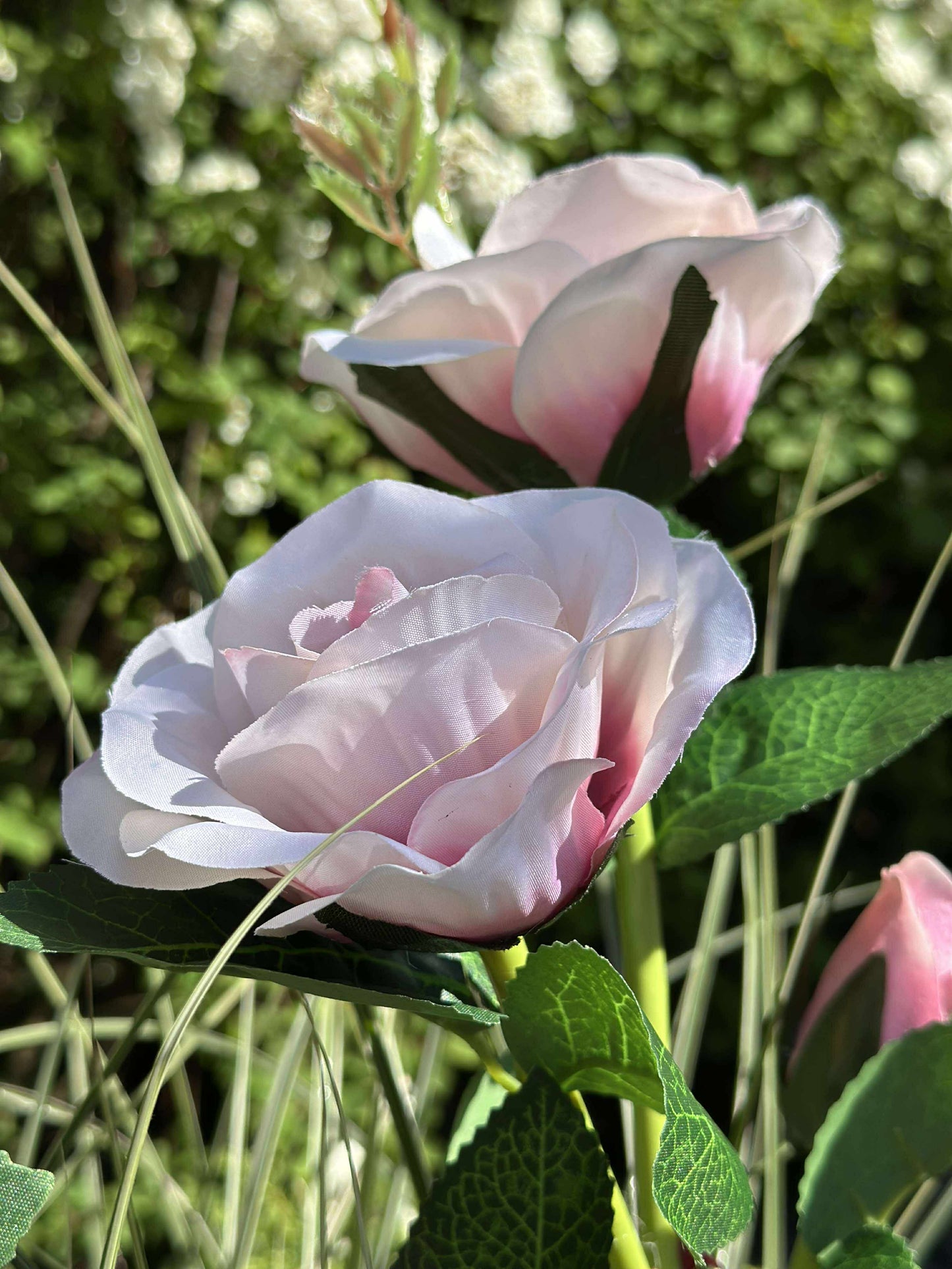 Rose med solceller - Rosa